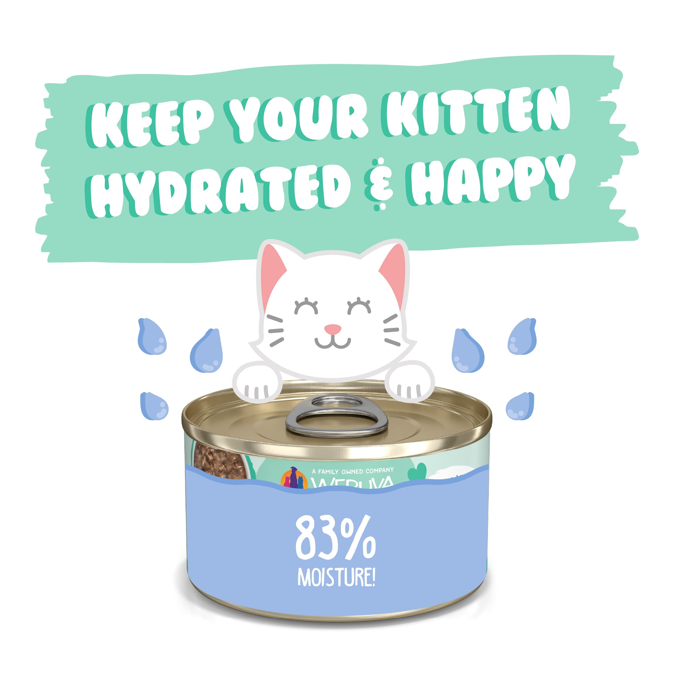 Weruva Kitten, Chicken & Tuna Formula in Gravy, 3oz Can (Pack of 12)