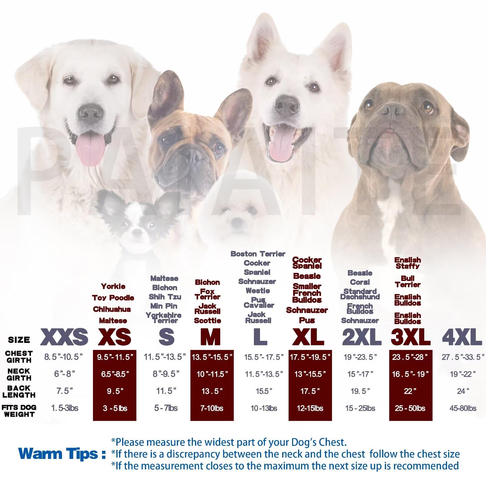 Paiaite Black Chihuahua Dog Hoodie: Warm And Stylish With A 'Security' Printed Sweatshirt, Cold Weather Pet Clothes, And Sweater