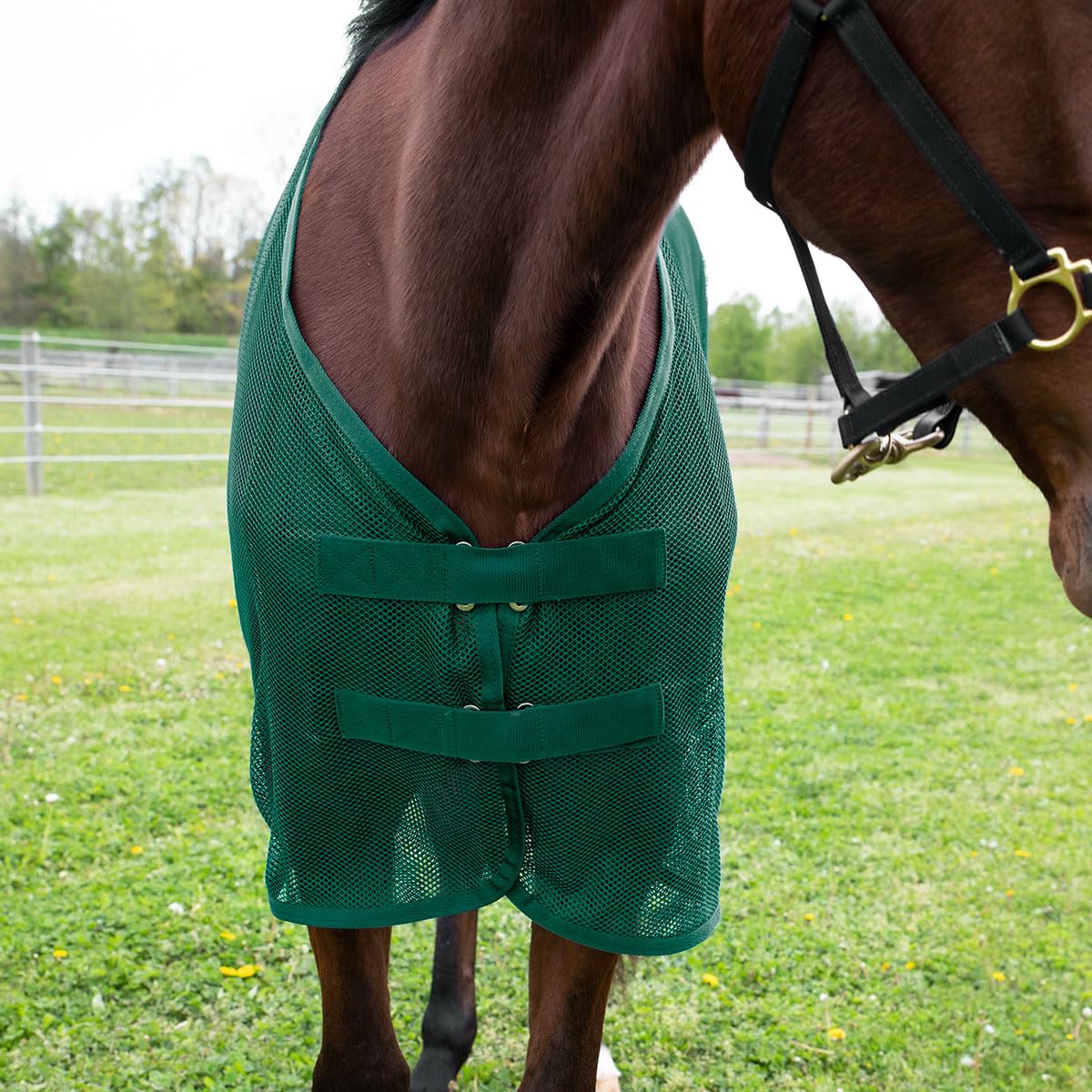 Country Pride Fitted Scrim Fly Sheet (Green, X-Large 82-84'')