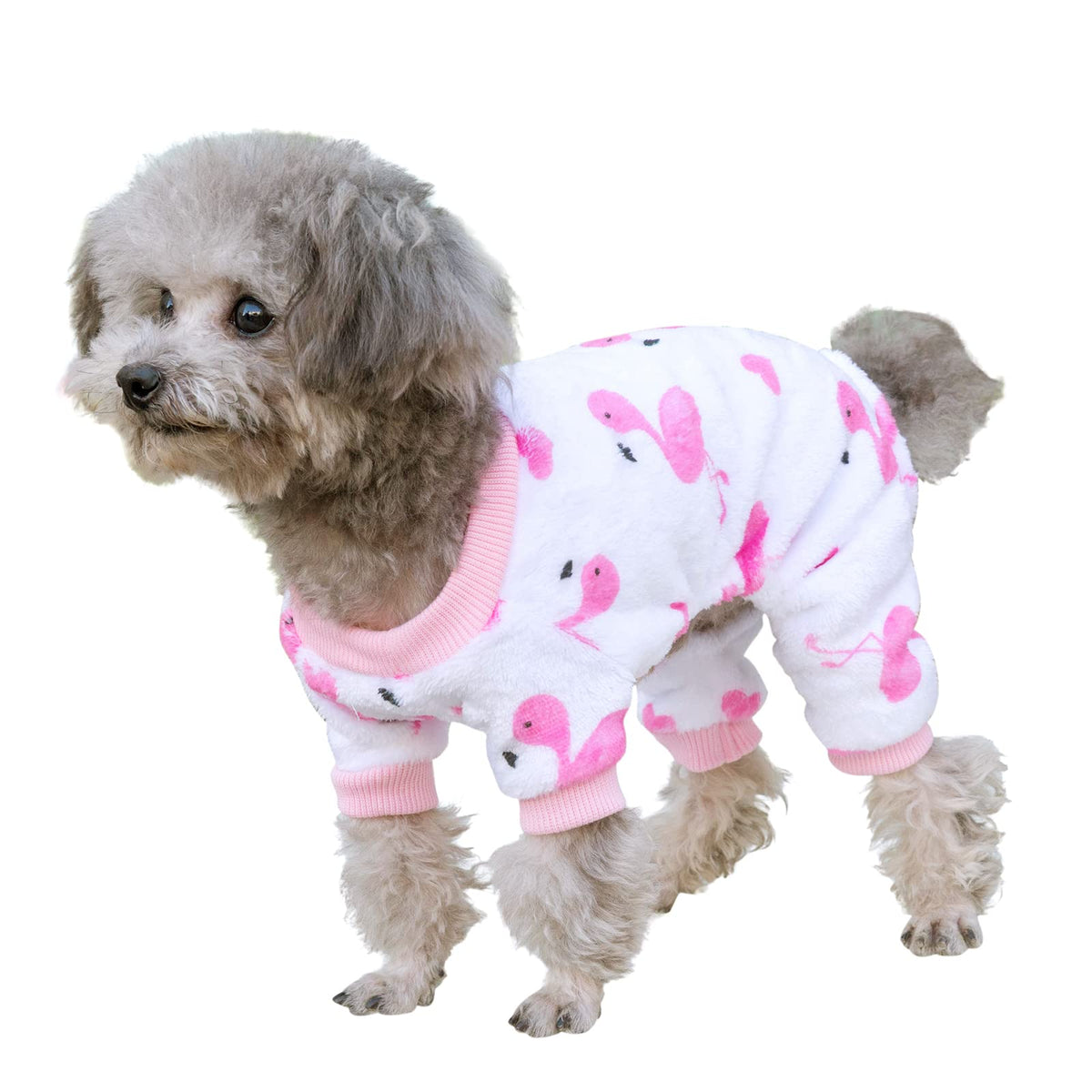 Cutebone Dog Winter Clothes Thick Velvet Coat Puppy Outfit Soft Pajamas Cat Apparel Mr08Xs