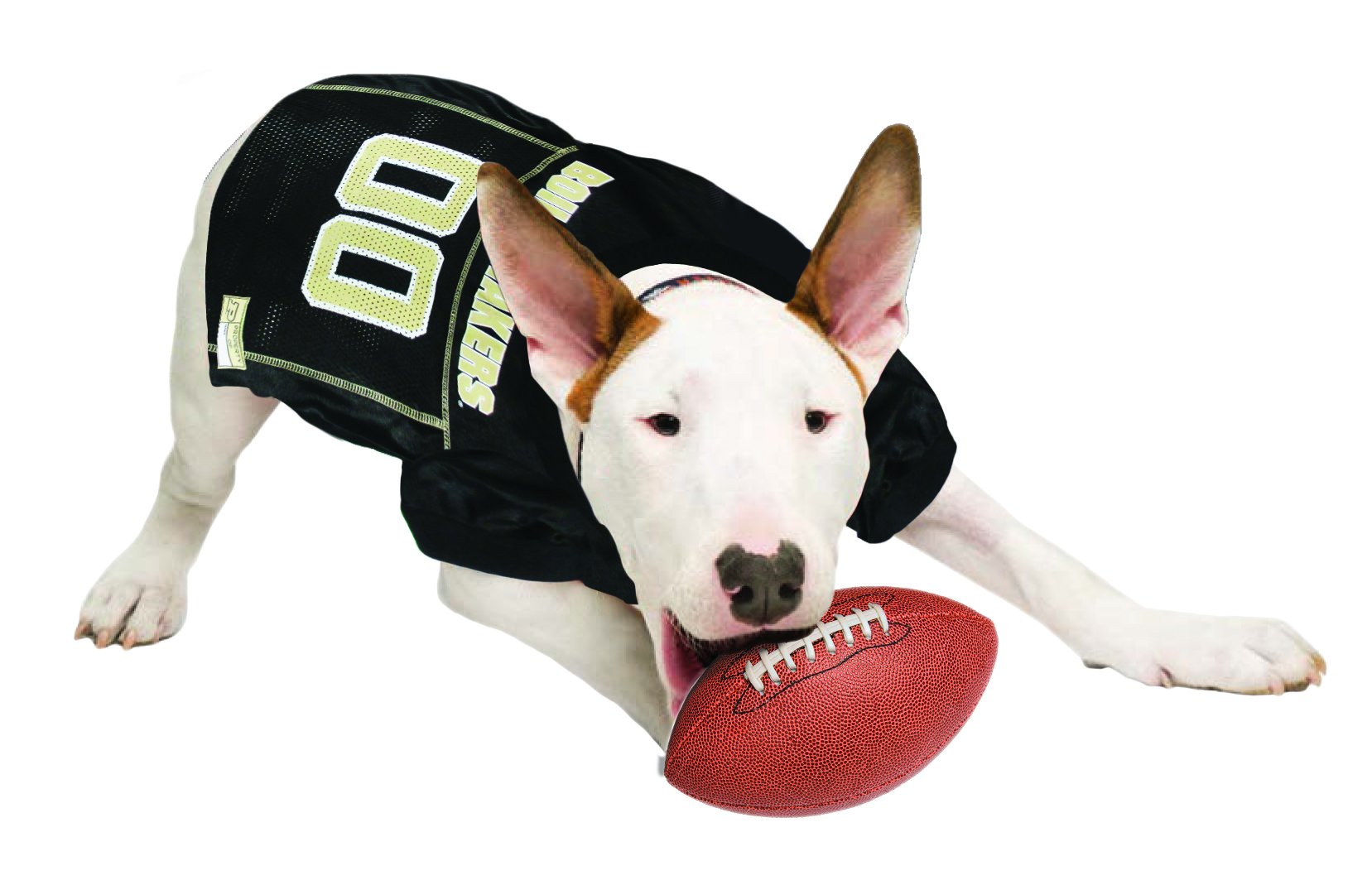 NCAA College Purdue University Mesh Jersey for DOGS & CATS, Medium. Licensed Big Dog Jersey with your Favorite Football/Basketba
