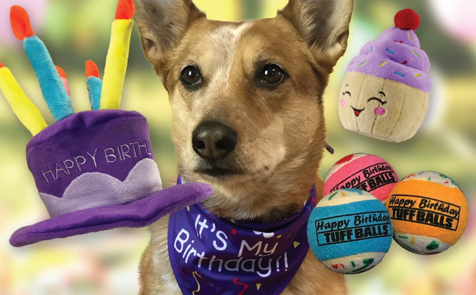 Petsport Jr. Happy Birthday Tuff Balls (1.8' Happy Birthday Tuff Balls Jr 4Pk)