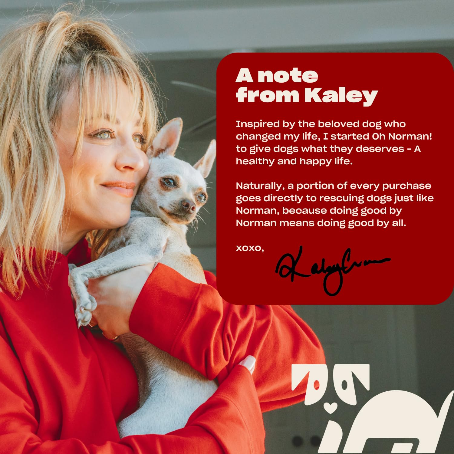 Oh Norman! Fresh And Foamy Waterless Shampoo By Kaley Cuoco, No Rinse Dry Shampoo For Dogs, Magic Mandarin Scent, Hypoallergenic