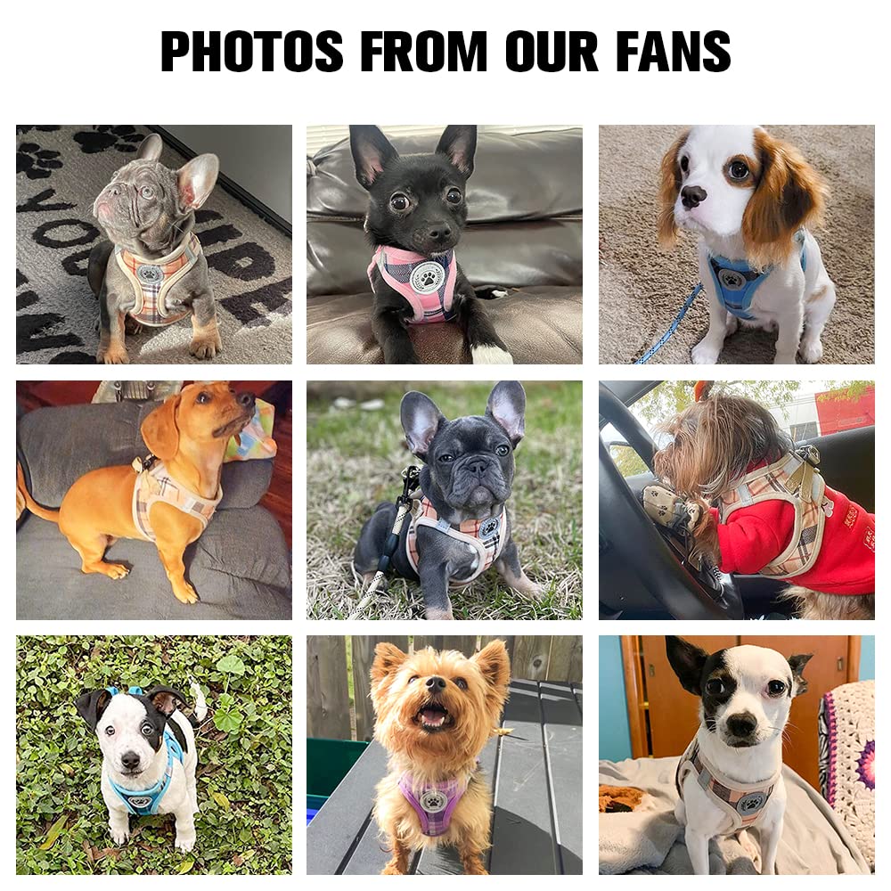 Beautyzoo Dog Harness And Leash Set,Step In No Chock No Pull Soft Mesh Reflective For Extra-Small/Small Medium Puppy Dogs And Ca