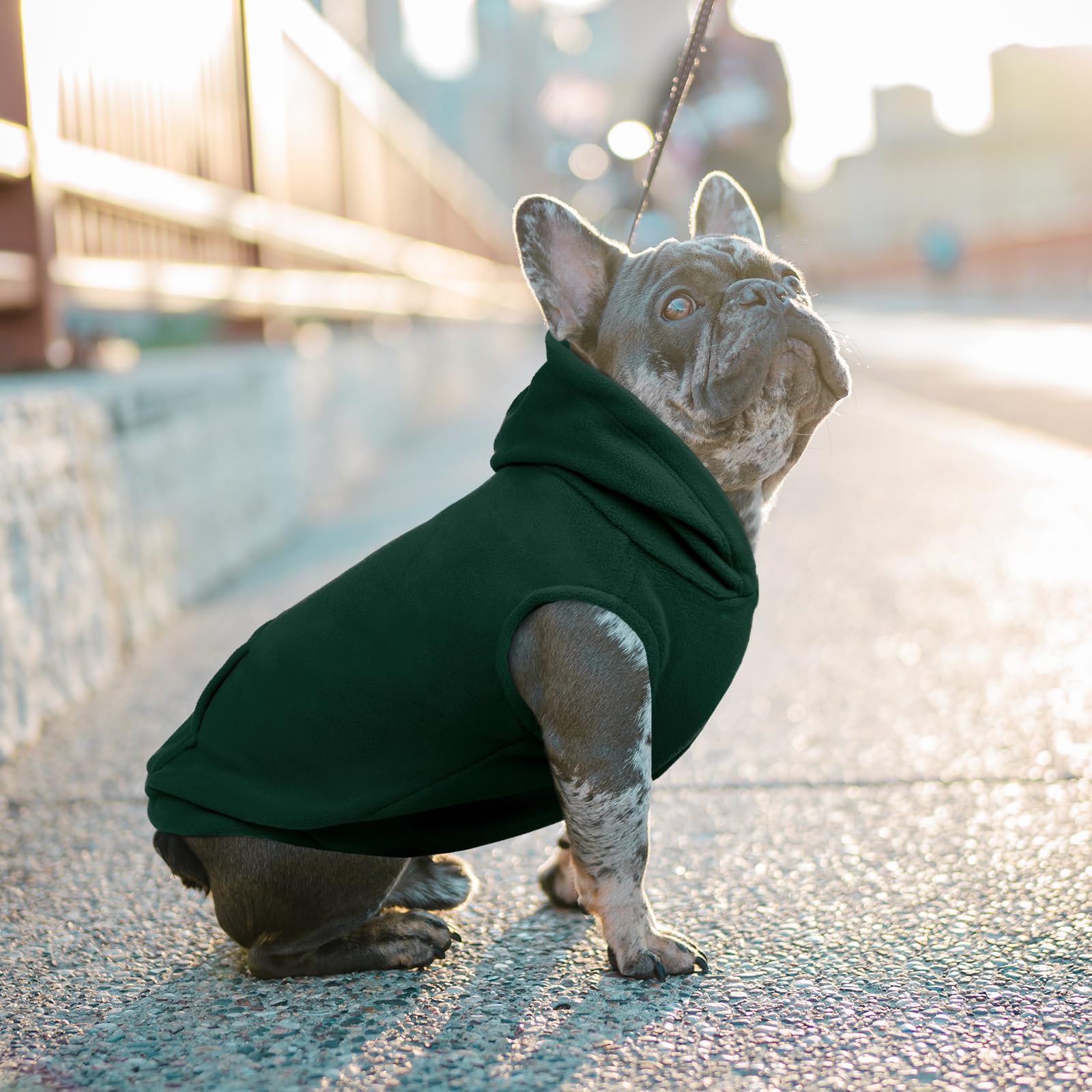 Iecoii Dog Hoodie,Polar Fleece Dog Sweatshirt Christmas Dog Sweater With Hood,Warm Dog Sweater For Medium Dog Boy Girl,Sleeveles