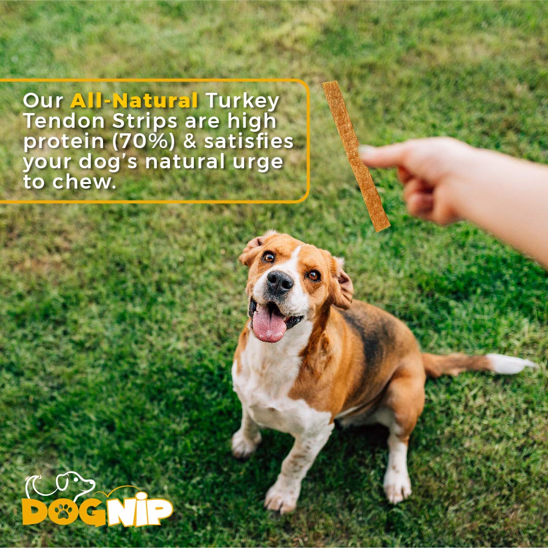 Gobble! 6-Inch Turkey Tendon Strips for Dogs, 6 oz. (170g) Reseal Value Bag, Made in USA, All-Natural Hypoallergenic Dog Chew Tr