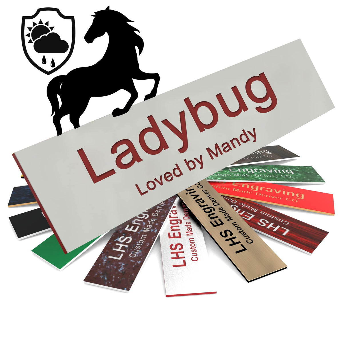 Lhs | Horse Stall Name Plate, 2X8 Personalized Stall Signs, Uv Protected, All Weather Adhesive, Hanging, Mounting Or Other, Gray