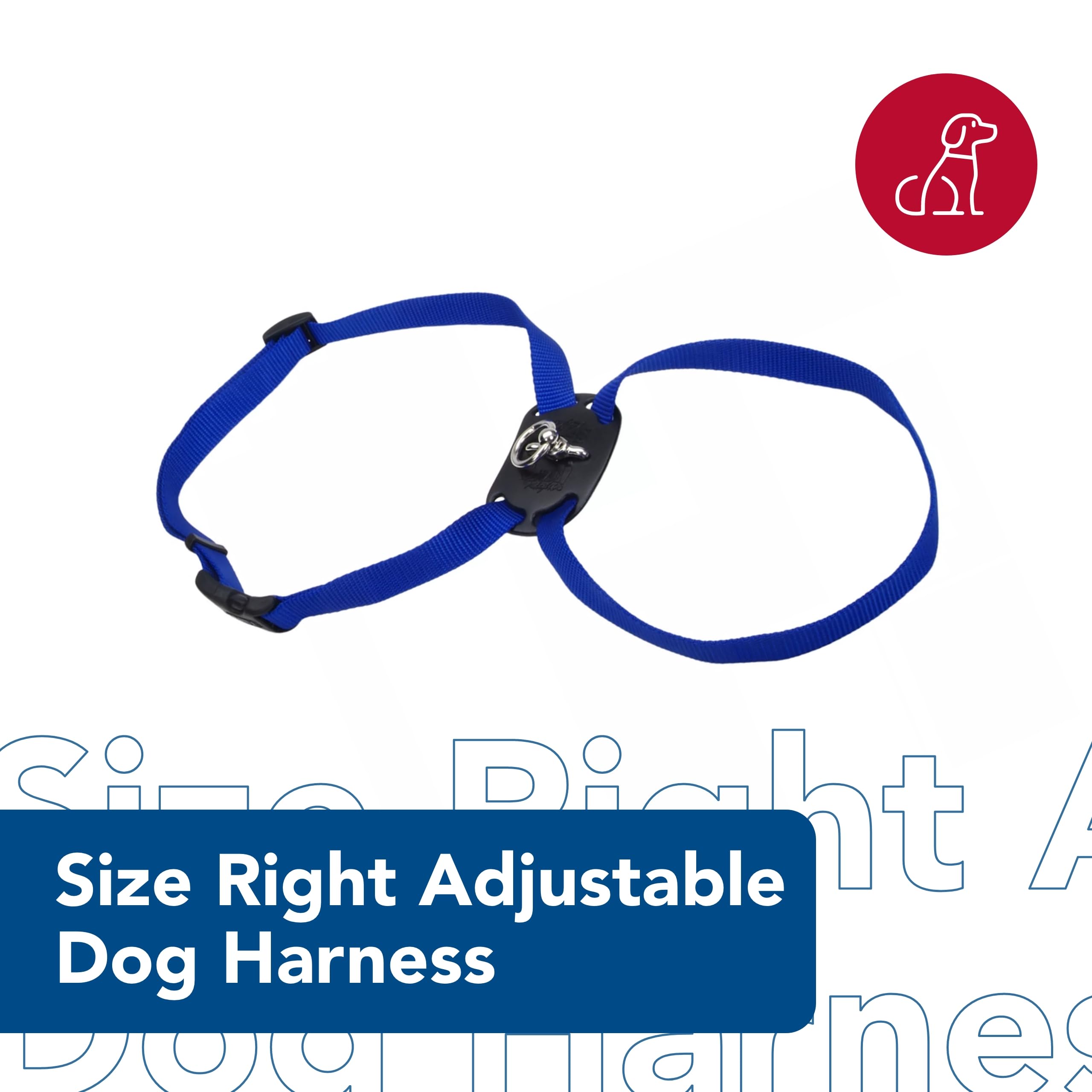 Coastal Pet Size Right Adjustable Dog Harness - Small & Big Dog Harness - Comfortable Dog Training Harness - Includes Snap-Lock Buckle - Quality Dog Supplies - Blue, 1' X 30-38'