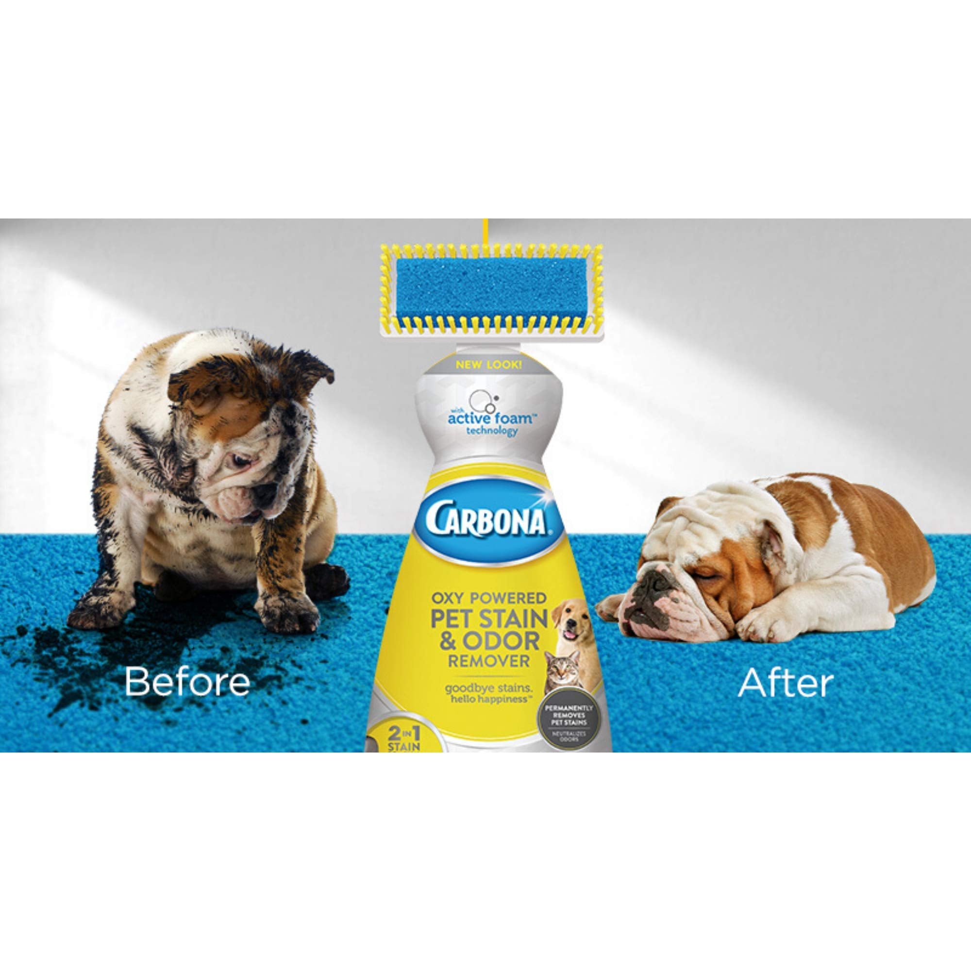 Carbona Oxy-Powered Pet Stain & Odor Remover W Active Foam Technology  22 Fl Oz 2 Pack