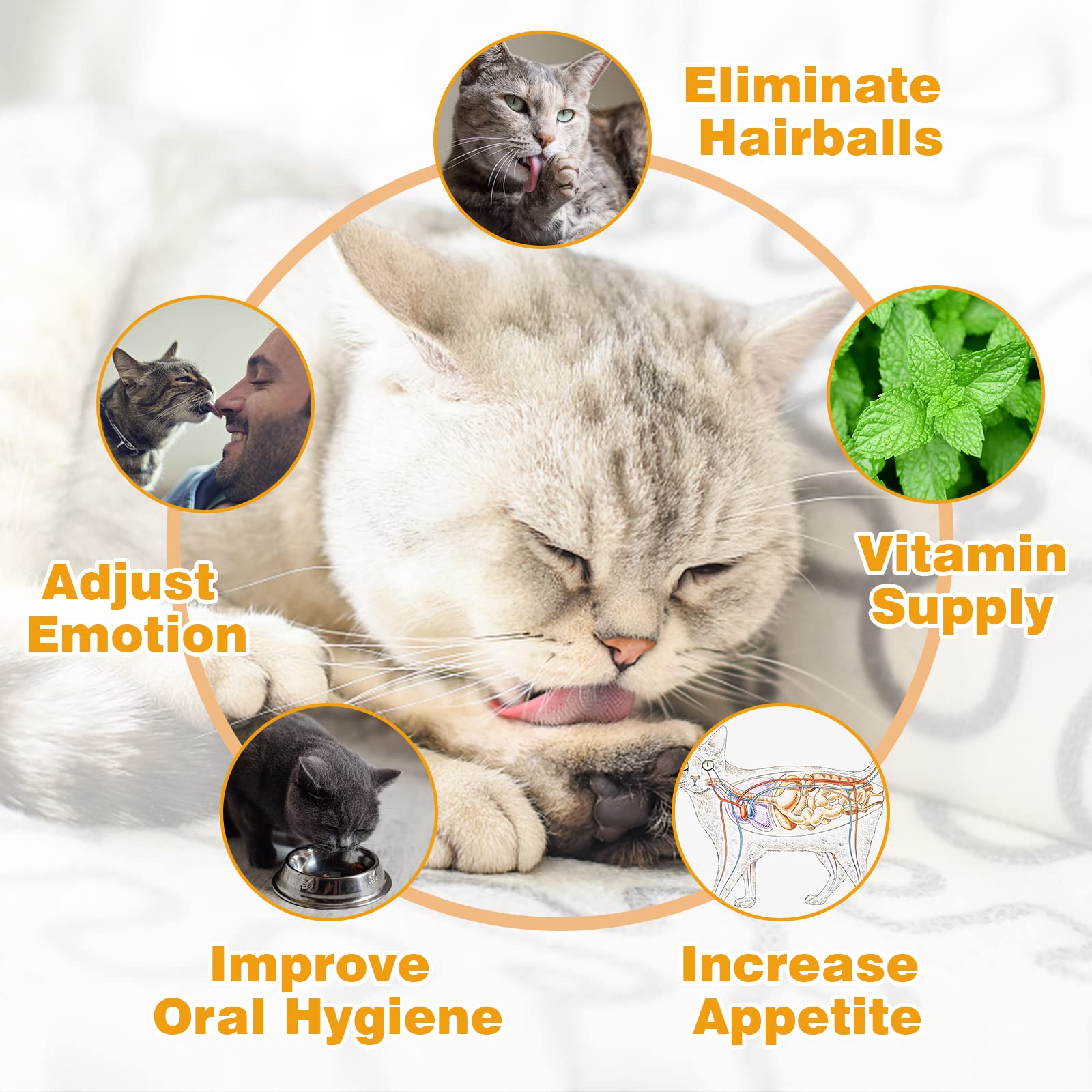 SINROBO Catnip Ball for Cats Wall, 4 Pack, Silvervine Balls, Edible Toys, Lick Safe Healthy Kitten Chew & Teeth Cleaning Dental
