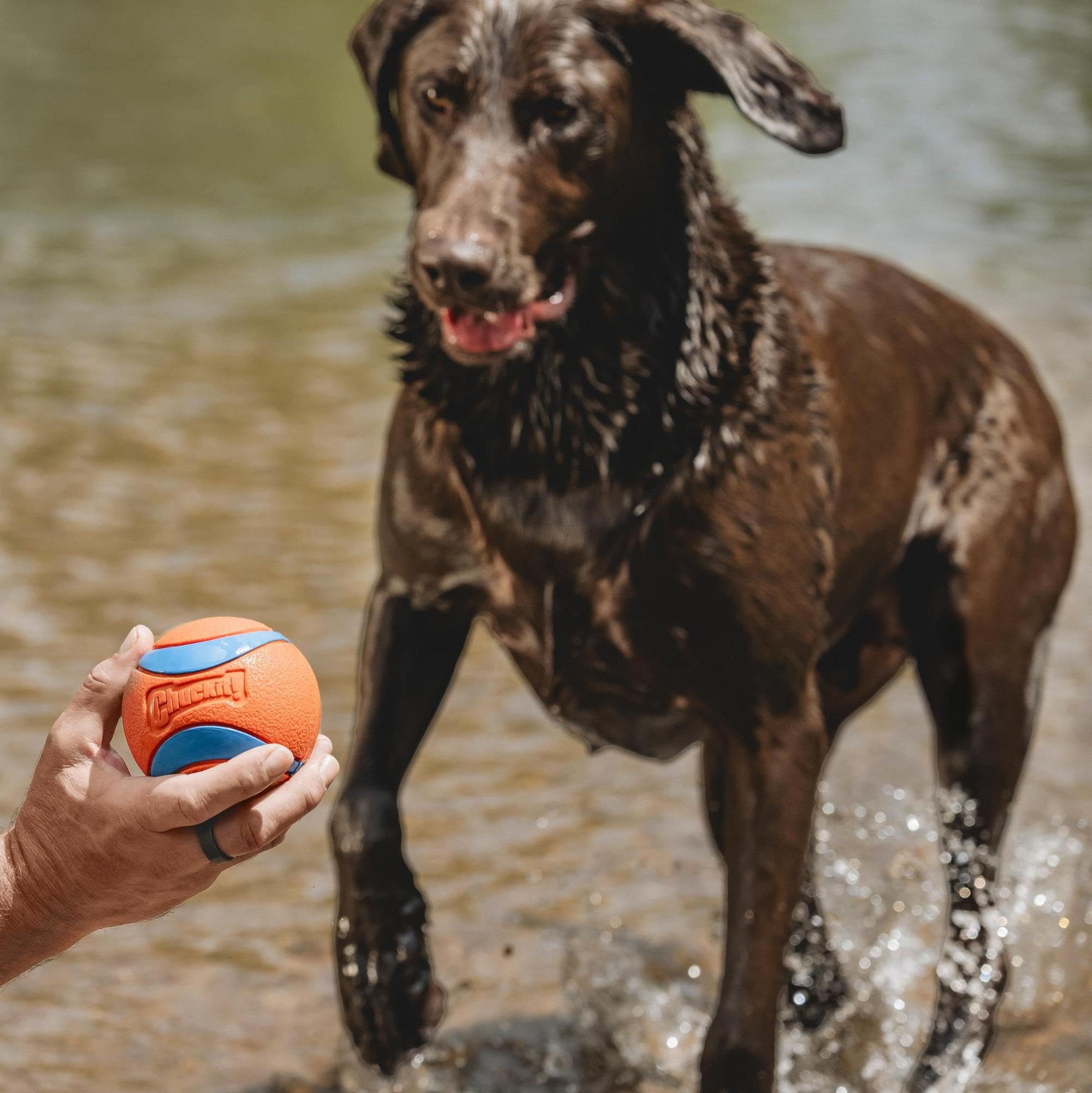 Chuckit! Ultra Ball Dog Toy - Size XXL - For Dogs 100+ lbs - Made from Durable Rubber - Super Bouncy - Floats in Water - 4-inch