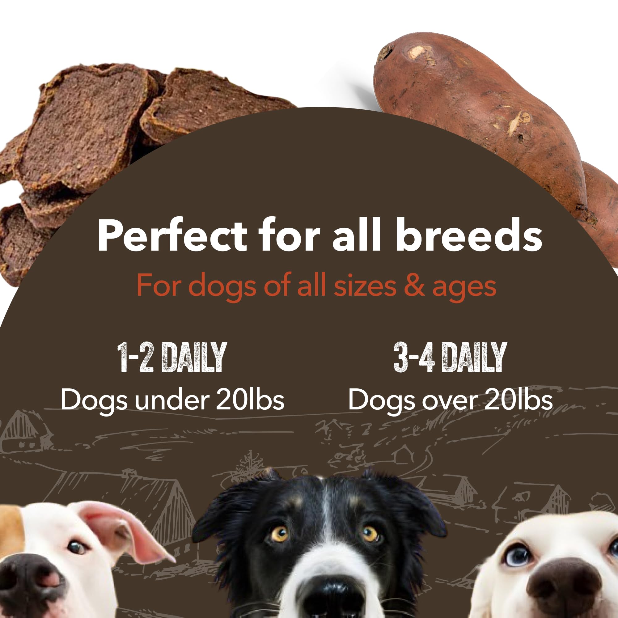 Gaines Family Farmstead Pork & Sweet Potato Fillets - Limited Ingredient, High Protein Dog Treats, Grain-Free, Made in USA, 6 oz