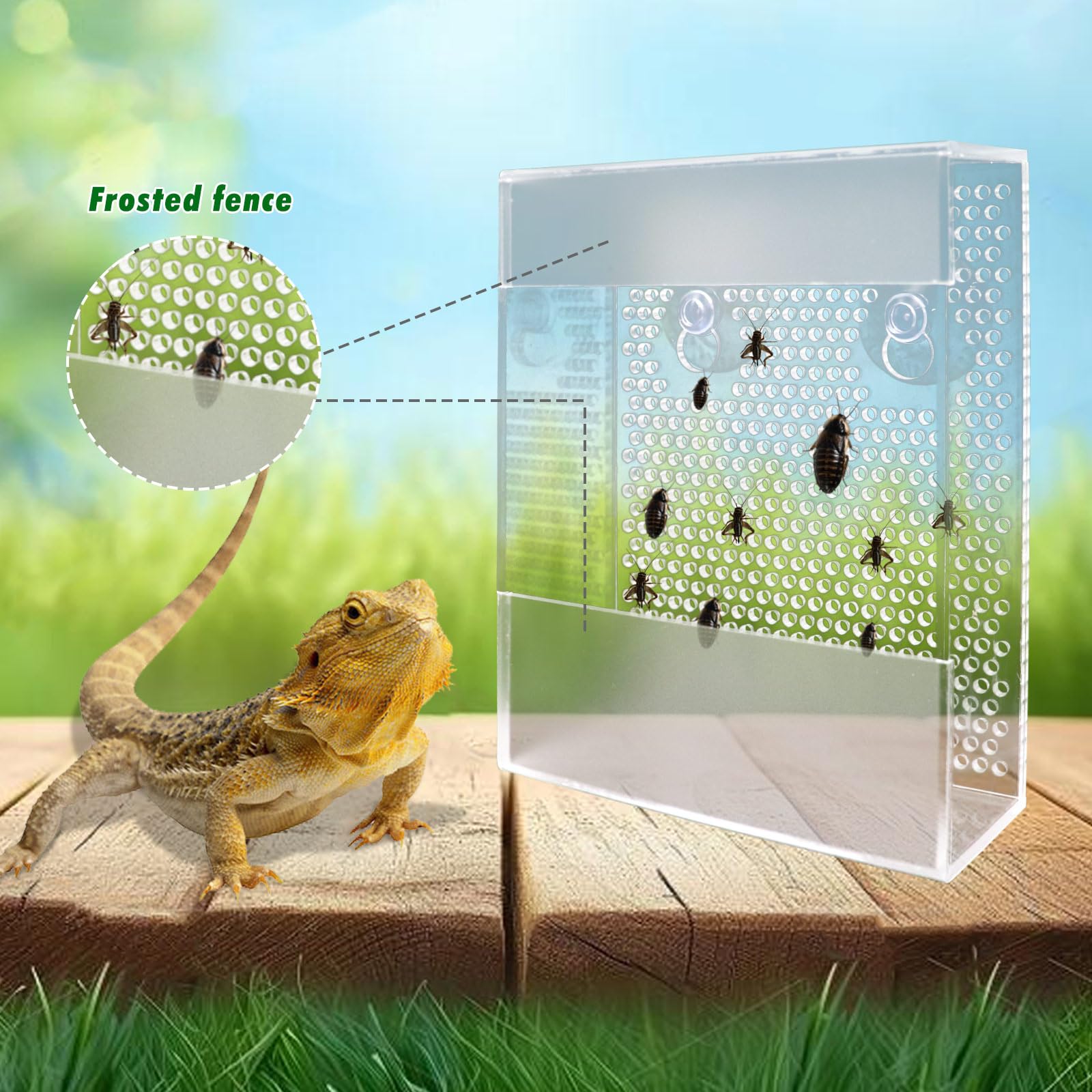 Transparent Acrylic Reptile Feeder Box, Wall-Mounted Insect Feeder With Suction Cups, Tank And Aquarium Accessories For Bearded