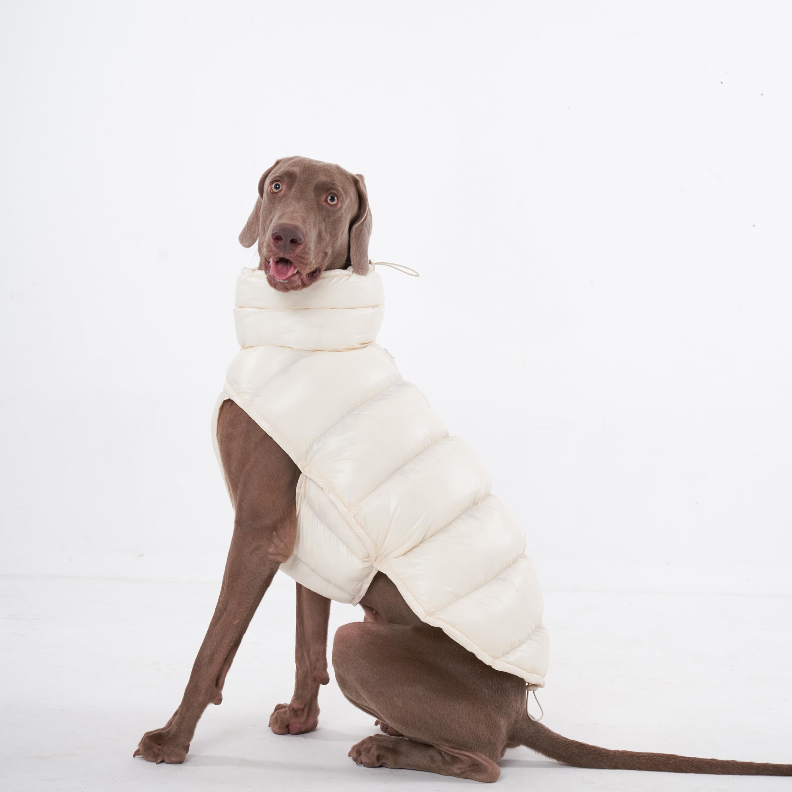 Chochocho Winter Dog Jacket, Cold Weather Coats, Lightweight, Thermal Insulated, Water-Resistant, Adjustable Dog Jackets With Le