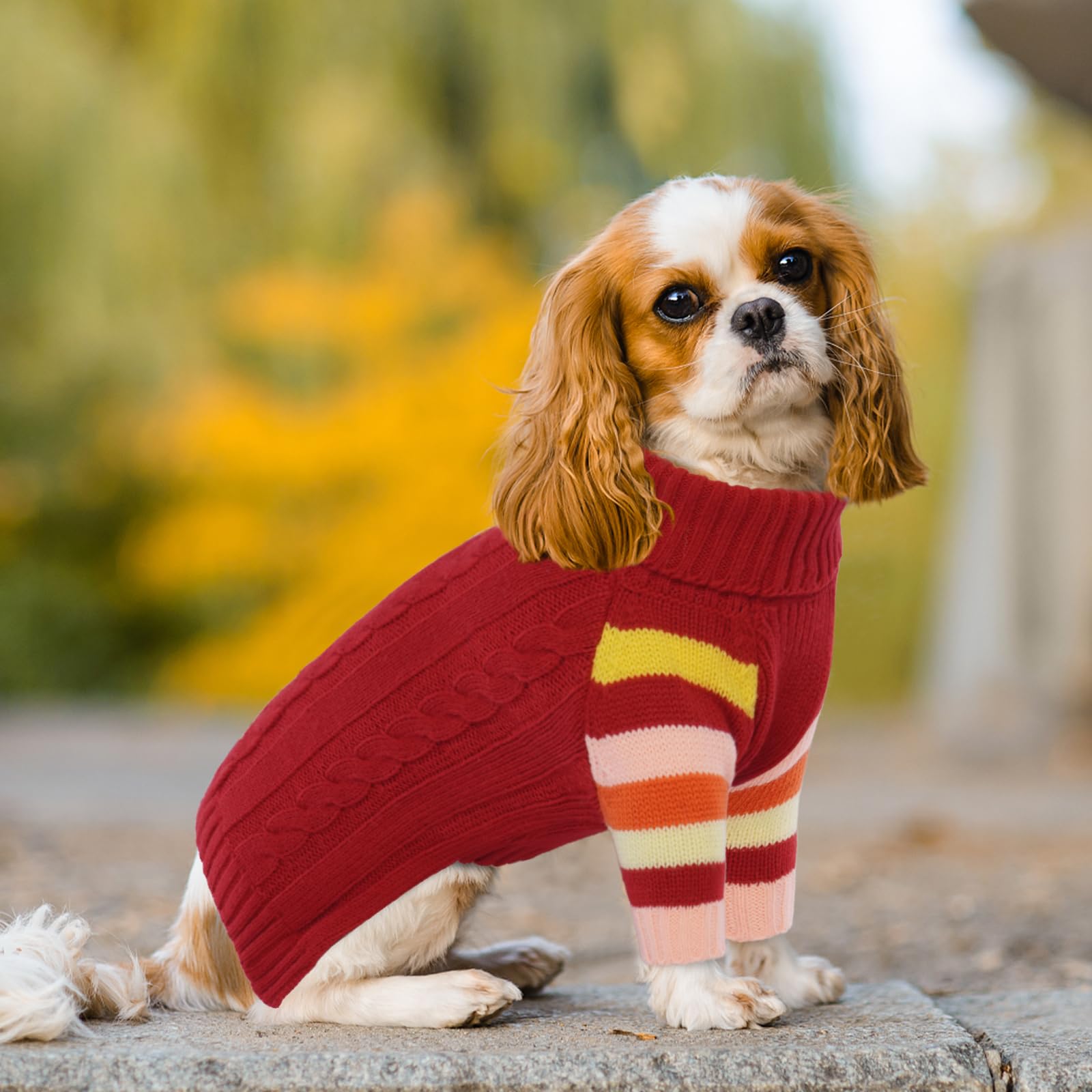 Ouobob Dog Cold Sweater, Dog Sweaters Winter For Medium Dogs Girl Male, Turtleneck Warm Dogs Sweater Long Sleeve, Stretchy Chris