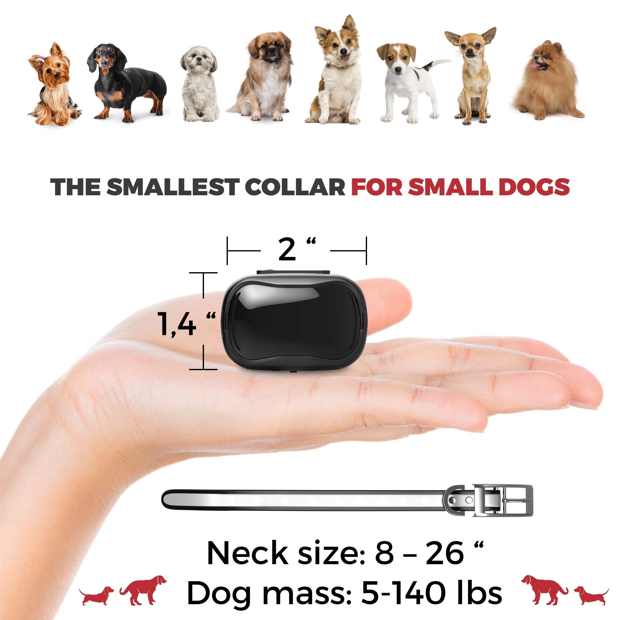 Extra Small Size Dog Training Collar With Remote For Small Dogs 5-15Lbs And Puppies With Shock - Waterproof And 1000 Ft Range