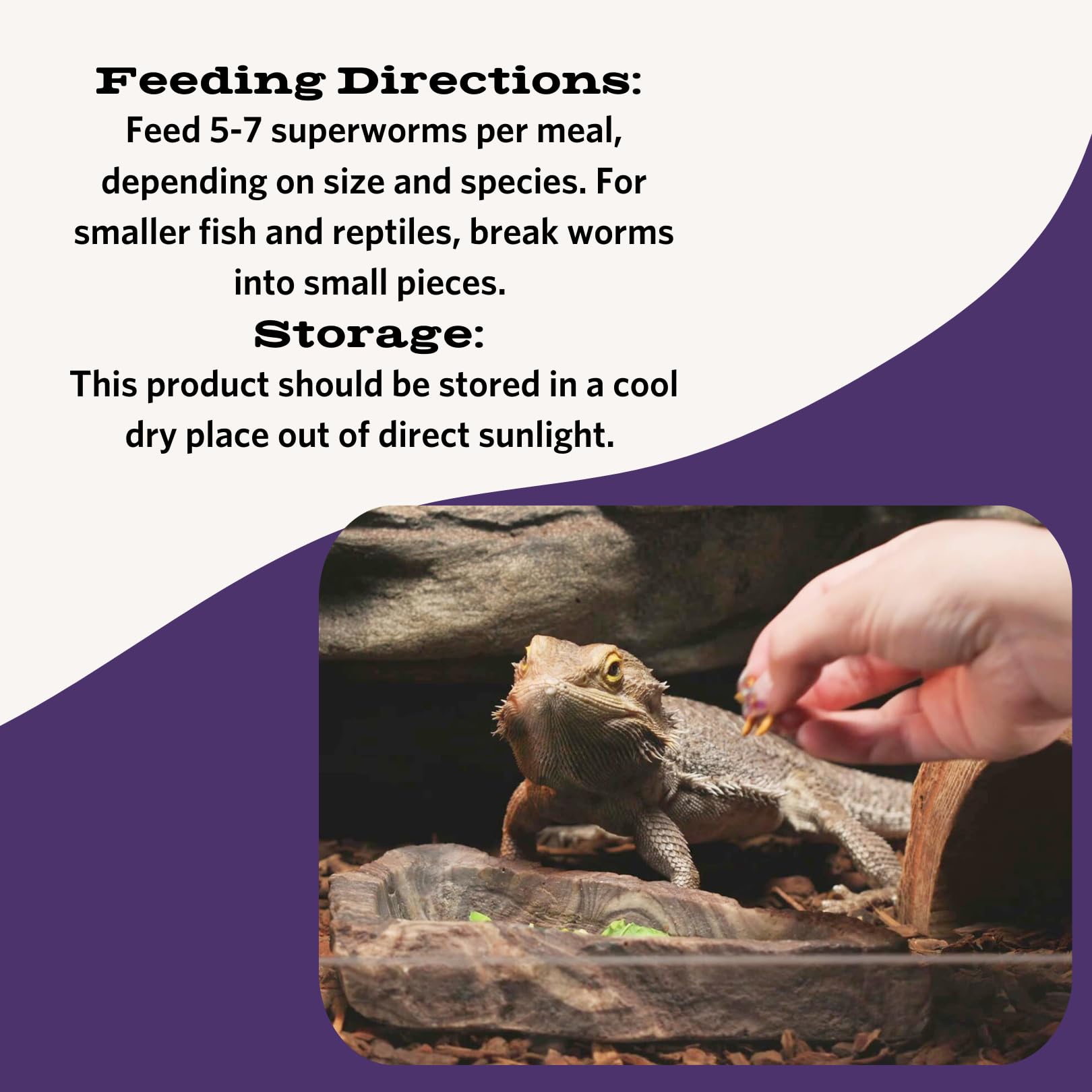 Flukers Freeze Dried Superworms for Reptiles