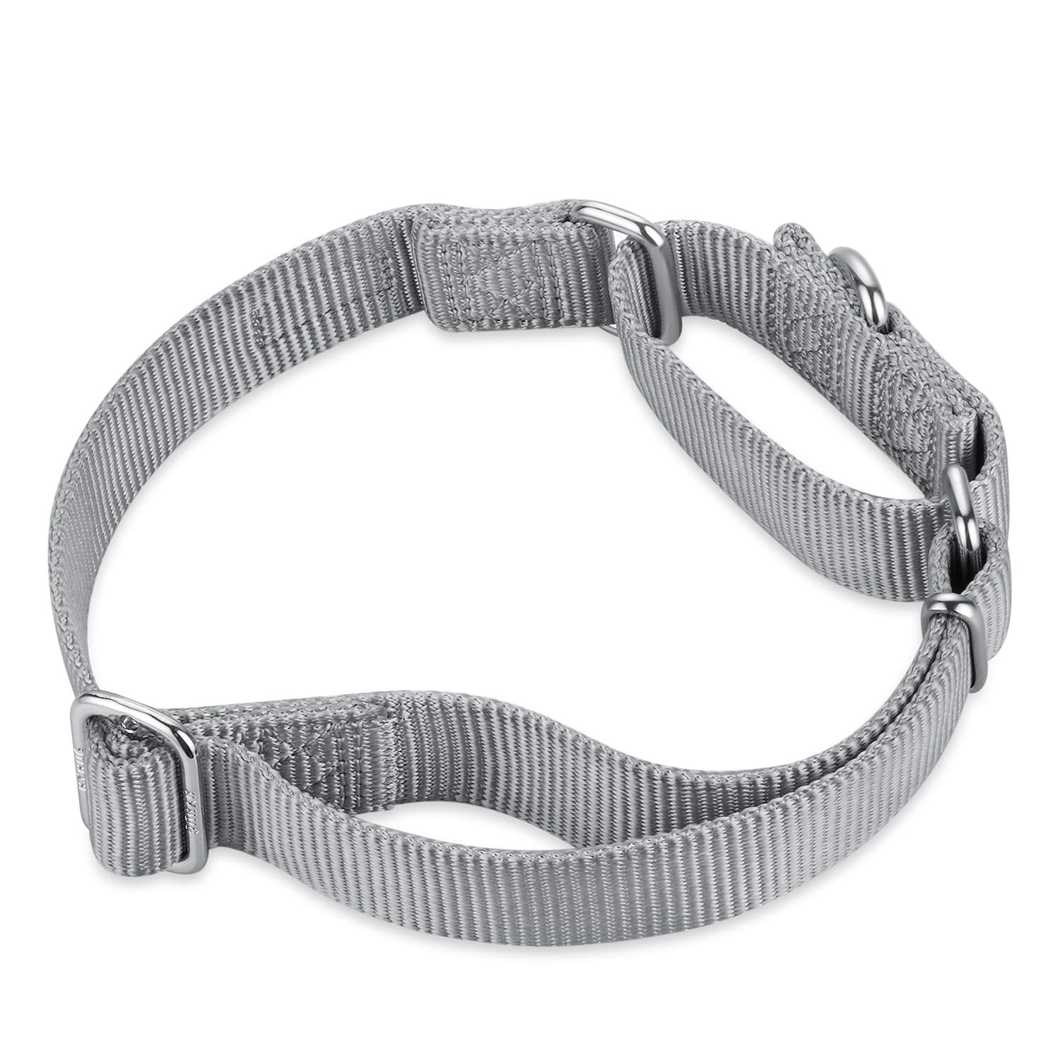 Hyhug Pets Premium Upgraded Heavy Duty Nylon Anti-Escape Medium Martingale Collar For Boy And Girl Dogs Comfy And Safe - Professional Training, Daily Use Walking. (Medium, Sleet Gray)