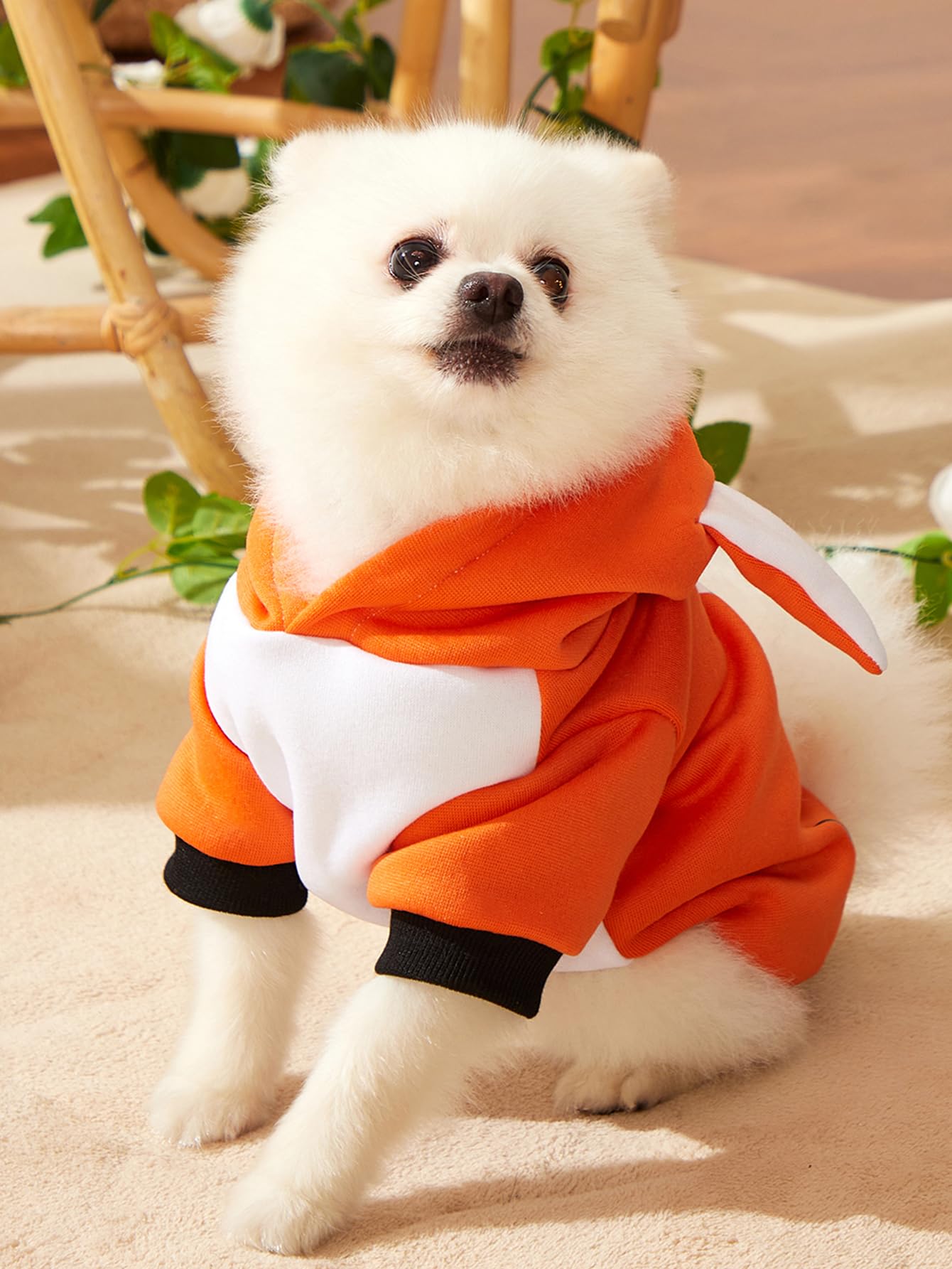 Qwinee Dog Hoodies Fox Design Cat Dog Clothes Warm Winter Puppy Clothes Chihuahua Outfit Pet Hoodie For Small Medium Dogs Cats K