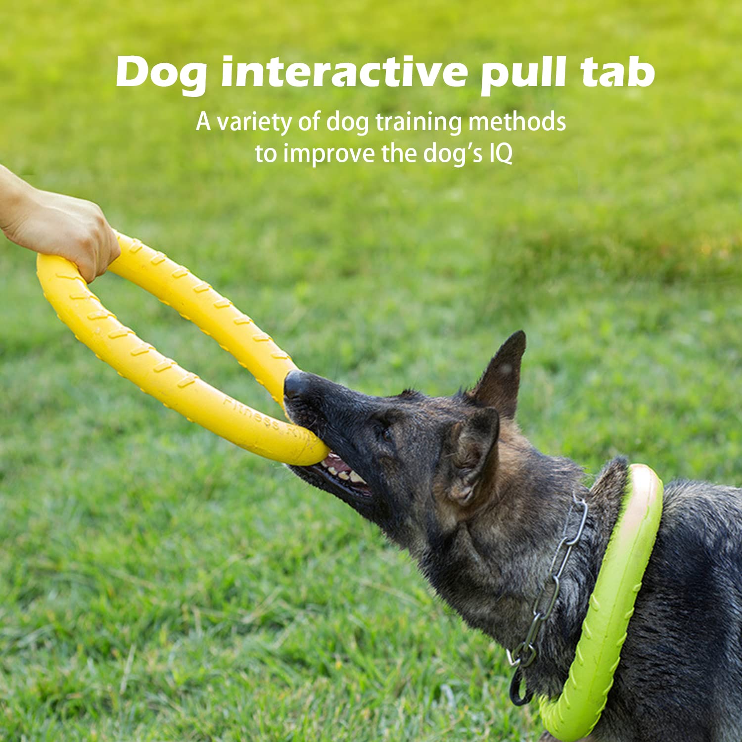 Dlder Xl Large Indestructible Dog Toys, Dog Chew Toys For Aggressive Chewers,Flying Discs For Medium/Large Breeds. Floating Dog