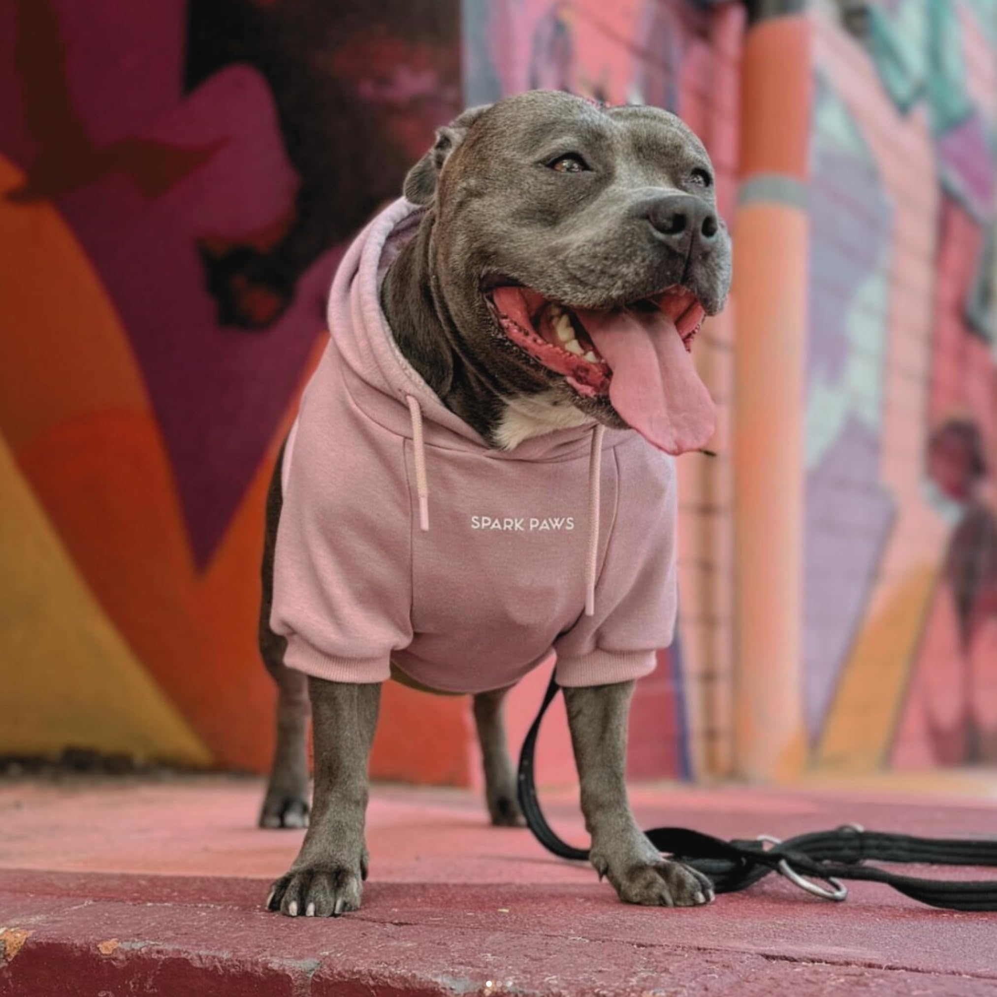 Spark Paws Dog Hoodie - Premium Quality, Buttery Soft, Superior Comfort And Fit, Calming Fleece Interior, Suitable For All Breeds - Dusty Pink - S