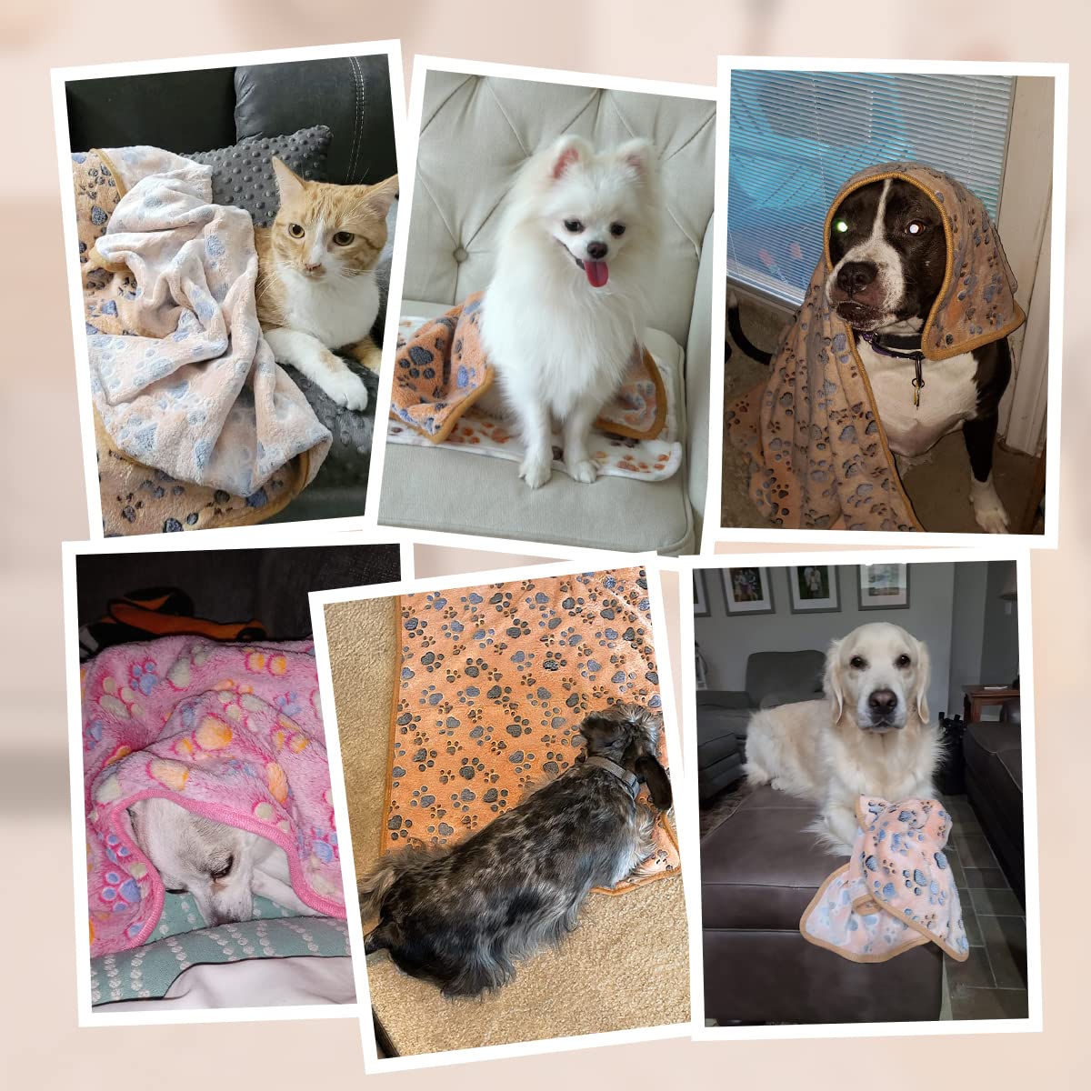 Pet Soft 1 Pack 3 Blankets Dog Blankets Medium - Fluffy Cats Dogs Blankets For Small Medium Dogs, Cute Paw Print Pet Throw Puppy Cozy Blankets 3 Pack (Paw, 3M)