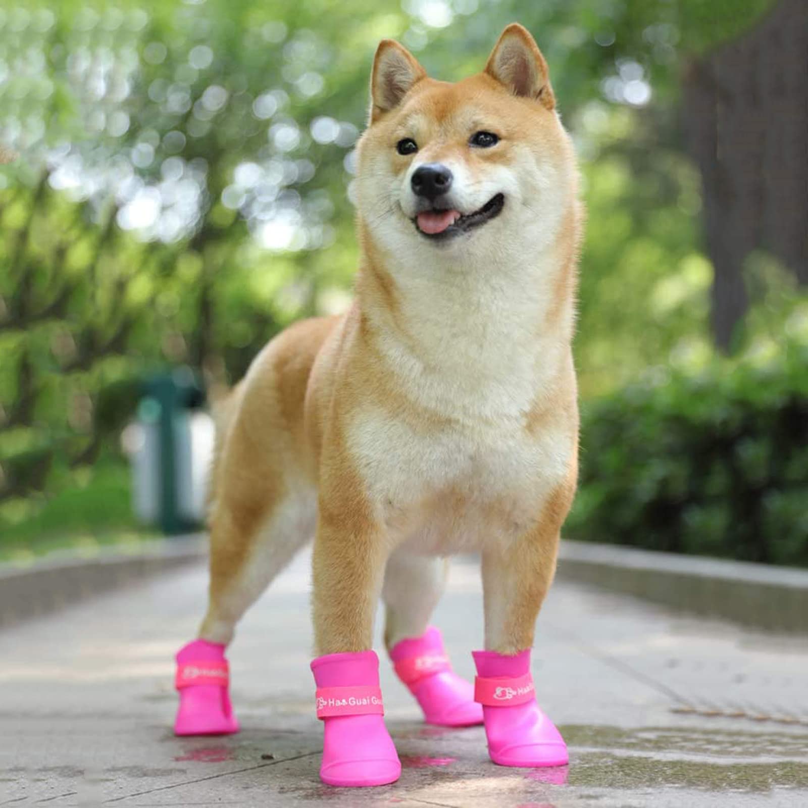 Cdycam Cute Little Pet Dog Puppy Rain Snow Boots Shoes Booties Candy Colors Rubber Waterproof Anti-Slip (Rose Red, X-Large)