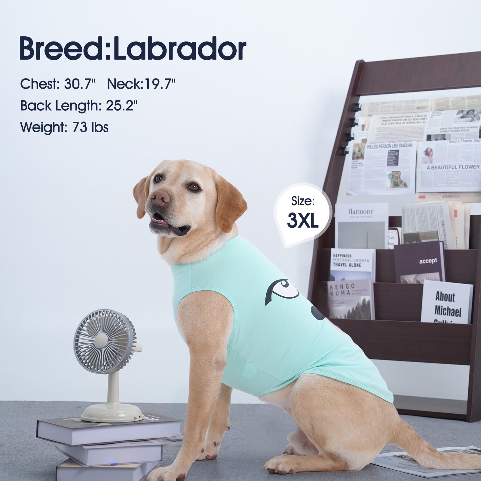 Iecoii 2 Pack Pet Tank Top Tee Sleeveless| Large |Summer Dog Clothes Apparel,Pet Funny Costume Doggy T-Shirts Clothing For Mediu