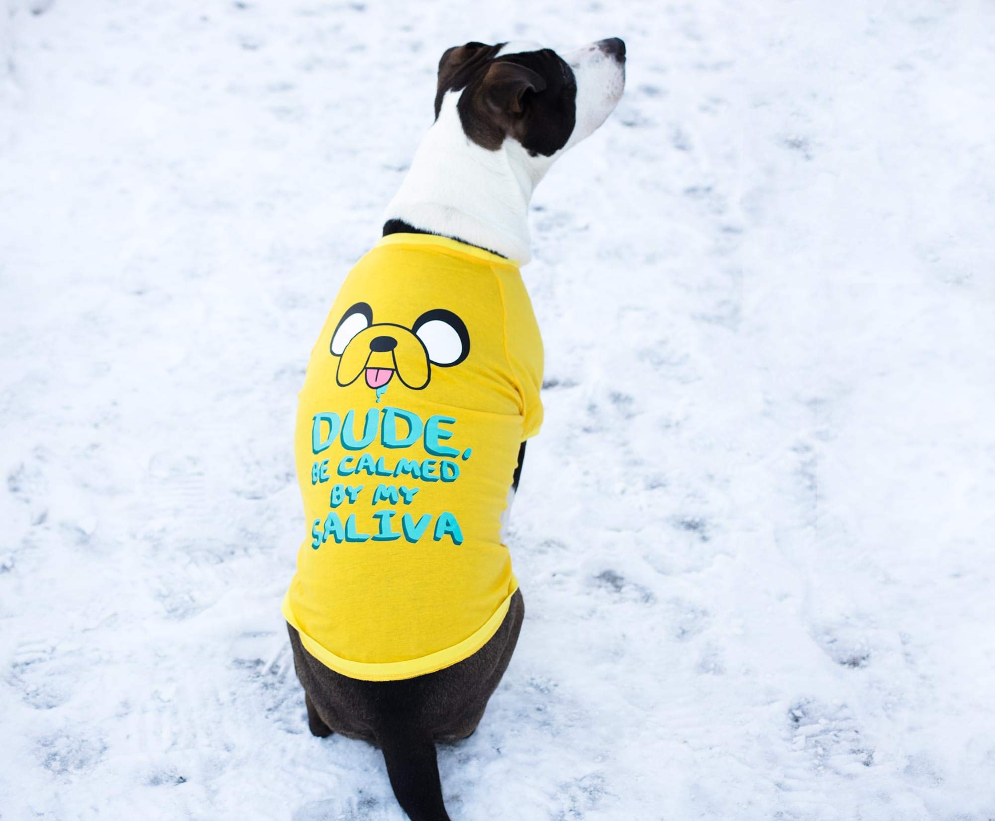 Crowded Coop, LLC Adventure Time Jake Saliva Dog Unisex Cartoon T-Shirt: Yellow, Small (15-18, 8.5-9) Cotton Blend
