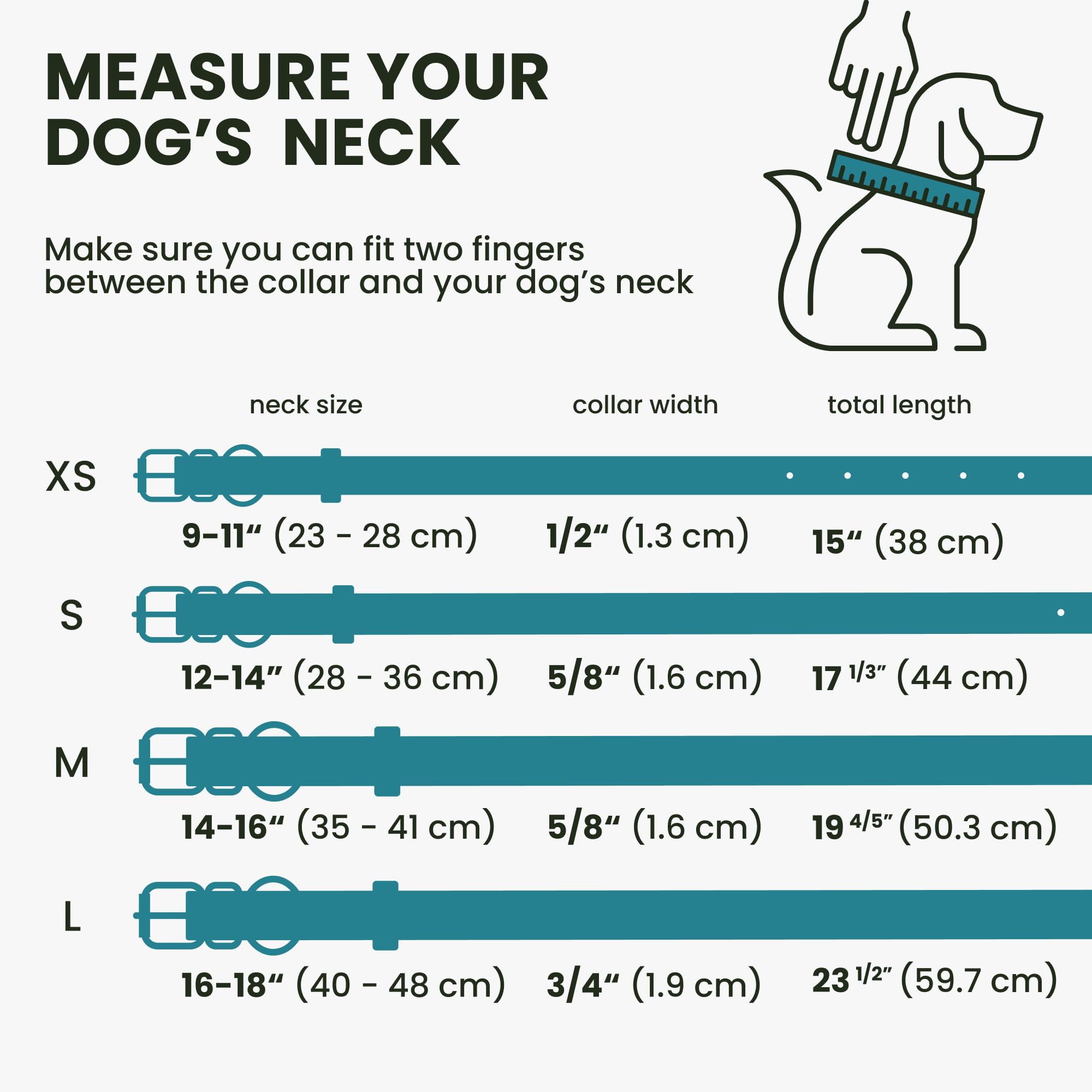 Bronzedog Rolled Leather Dog Collar For Small Medium Large Dogs With Qr Id Tag (M: 14-16 Inch, Teal)