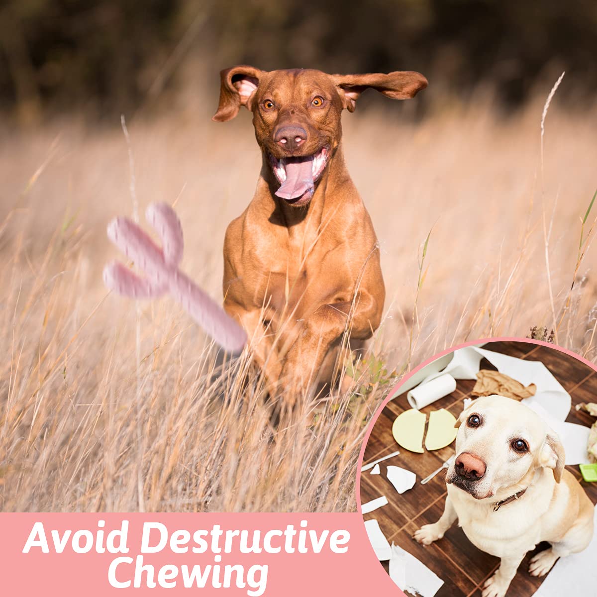 Mewajump Dog Chew Toys, Tough Rubber Dog Toys For Aggressive Chewers, Cactus Dog Toy For Training And Cleaning Teeth, Pink Cute