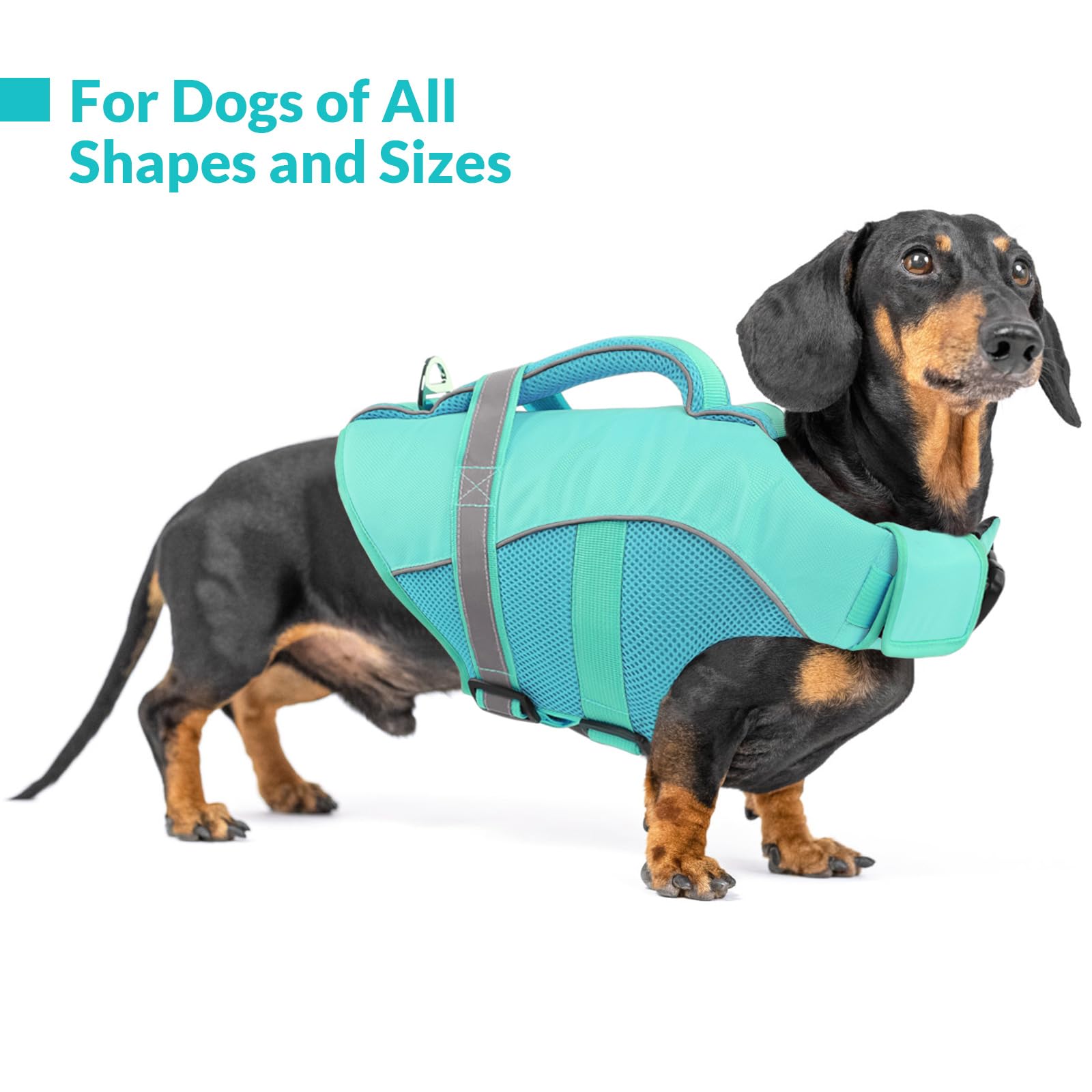 Queenmore Dog Life Vest For Swimming Boating, Adjustable Ripstop Dog Life Jacket, Lifesaver With Superior Buoyancy And Rescue Ha