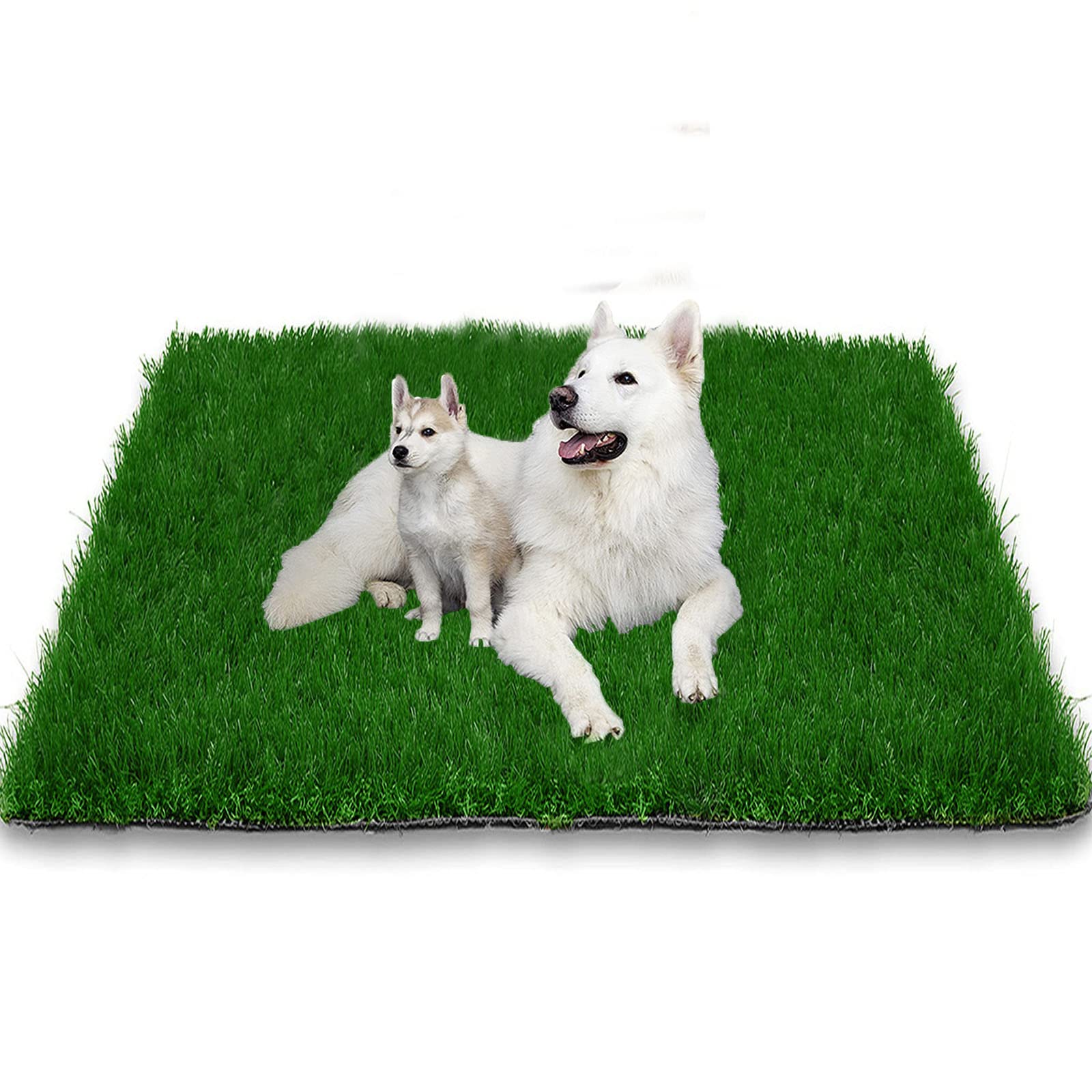Grass Pad For Dogs 39.3 X 19.7 Inches, Strong Absorbency Soft And Real Grass For Pets Potty Training, Easy To Clean Fake Grass For Dog Indoor Outdoor Use (1 Pack)