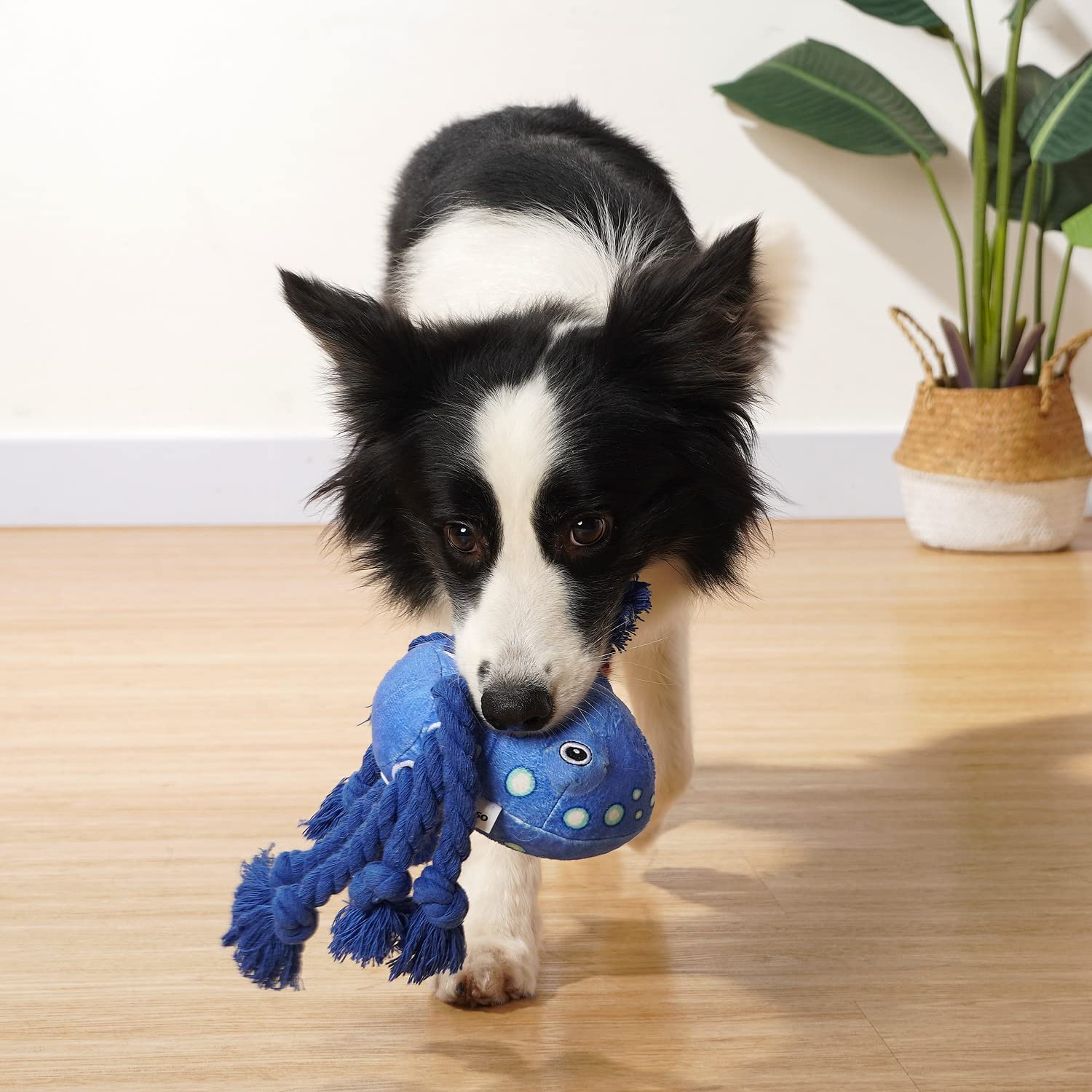 Sedioso Dog Toys, Dog Plush Toy For Large Breed, Cute Squeaky Dog Toys With Crinkle Paper, Dog Chew Toys For Puppy, Small, Middle, Big Dogs (Octopus)