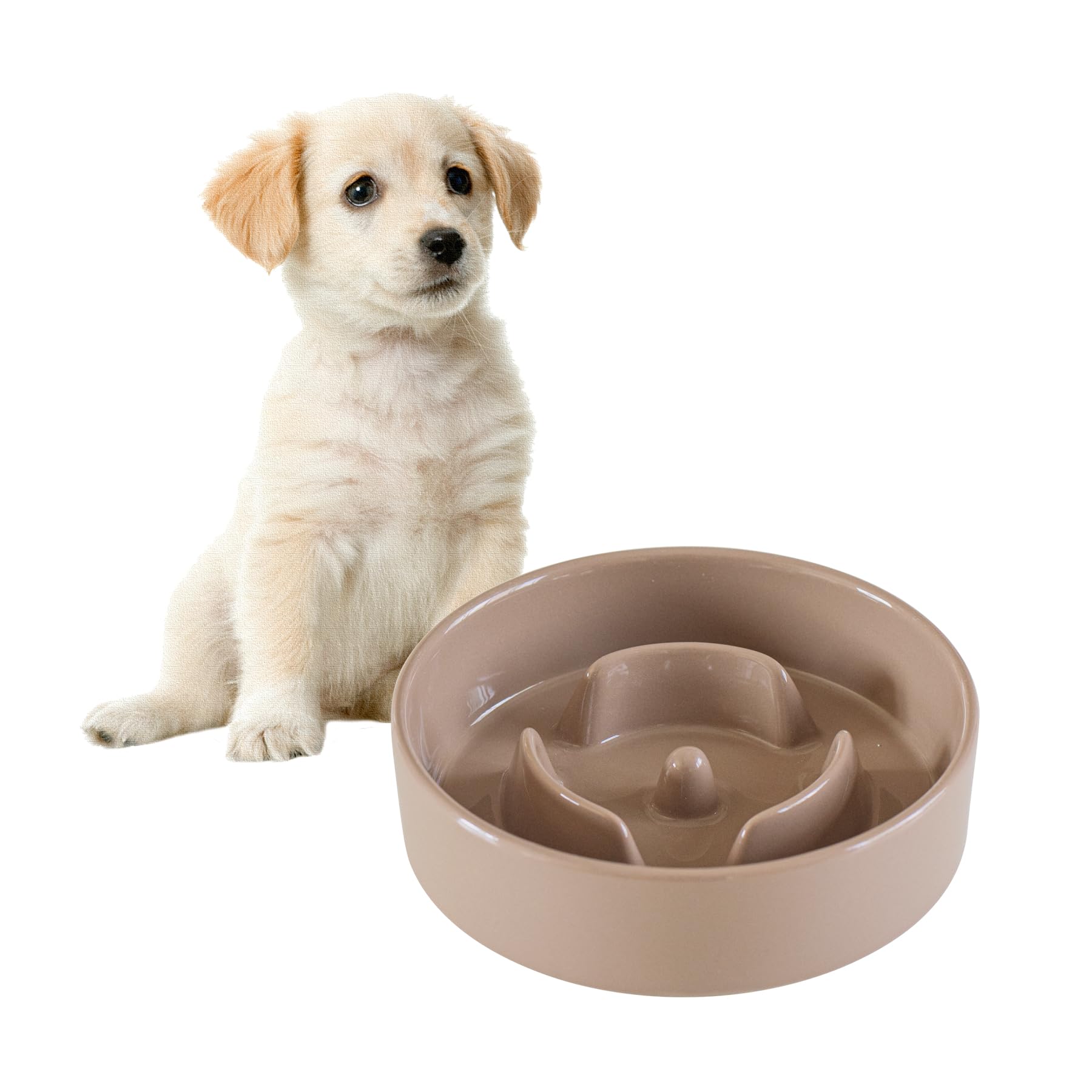 Havniva 6.1Inch Dog Bowl Slow Feeder Ceramic For Small Dog, Pet Slow Feeder, Stop Bloat, Preventing Choking(Single Bowl-Brown Co