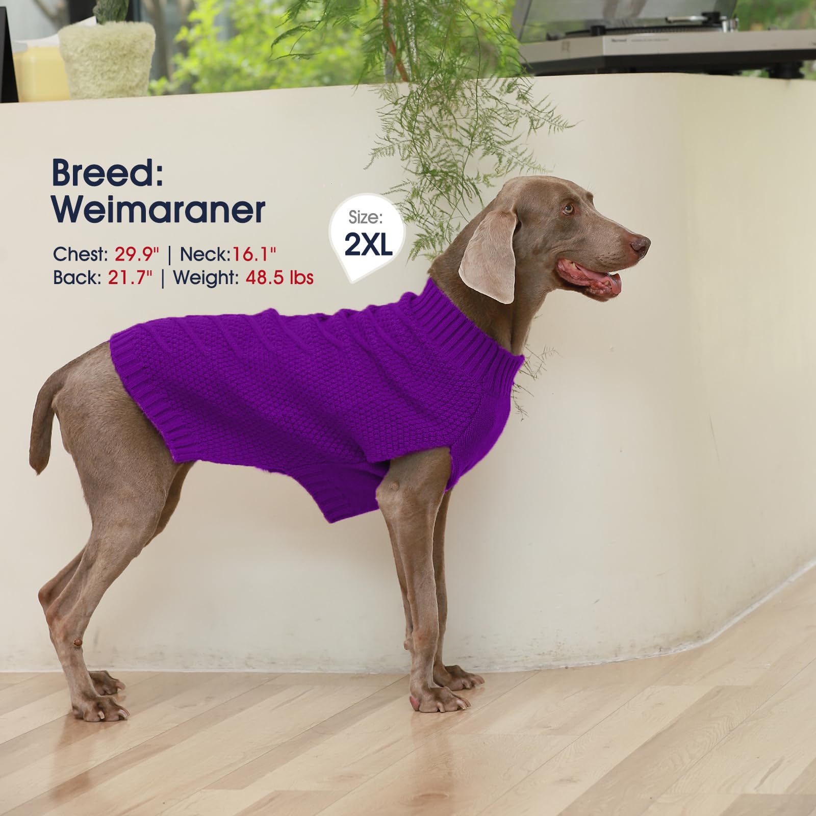 Iecoii Large Dog Sweater - Thick Warm Neutral Purple-Xl For Male Or Female Dogs, Perfect For Christmas, Thanksgiving, Halloween