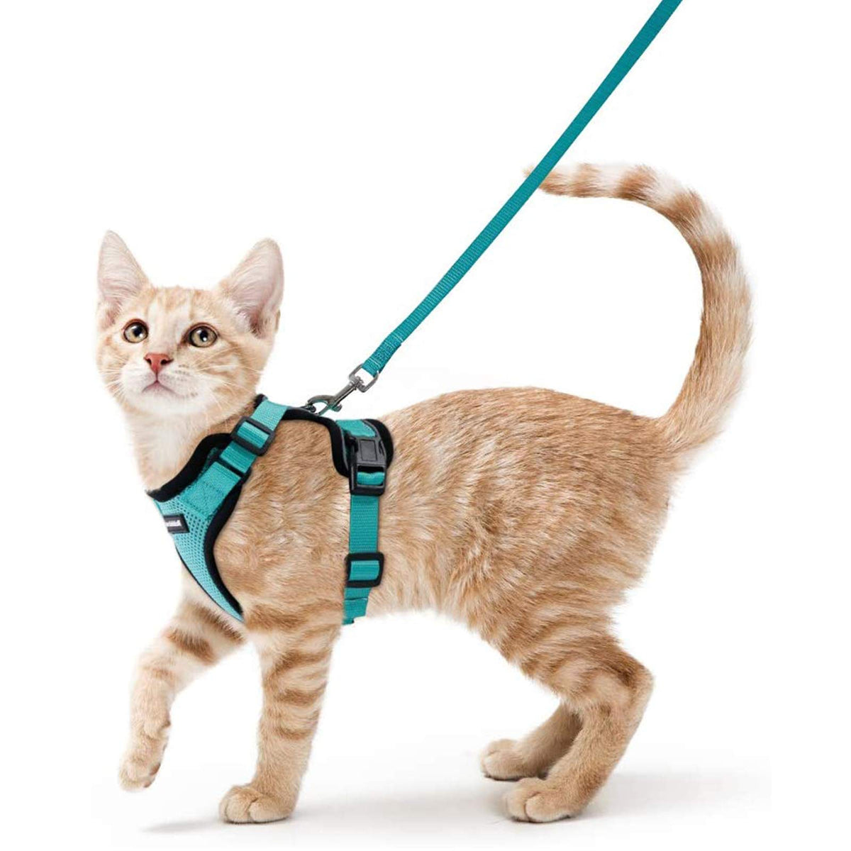 Rabbitgoo Cat Harness And Leash For Walking, Escape Proof Soft Adjustable Vest Harnesses For Cats, Easy Control Breathable Reflective Strips Jacket, Emerald, Xs