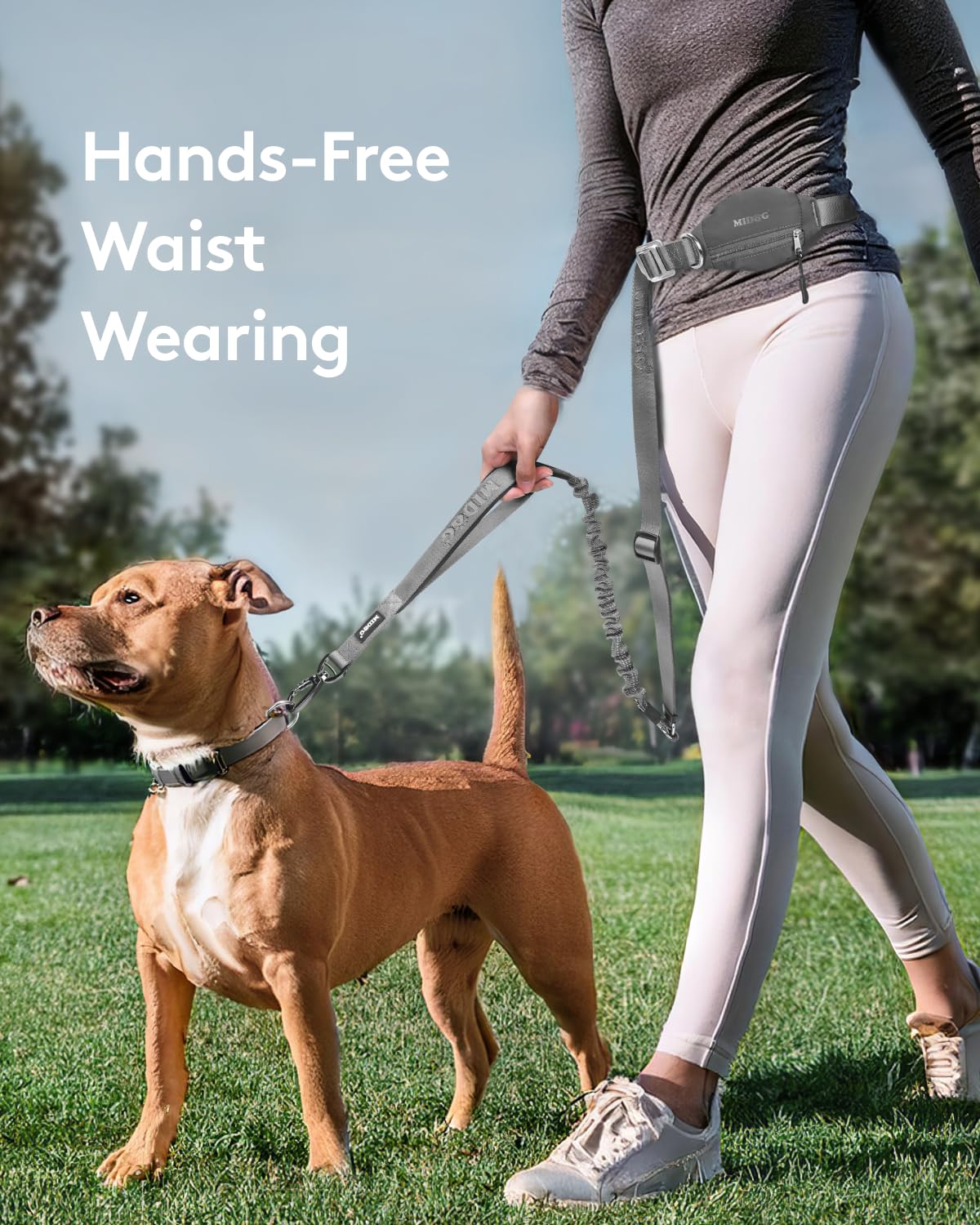 MIDOG Multifunctional Dog Leash Hands Free for Large Dogs - Adjustable Waist Leash with Zipper Pounch& Bungee Cord for Jogging/R