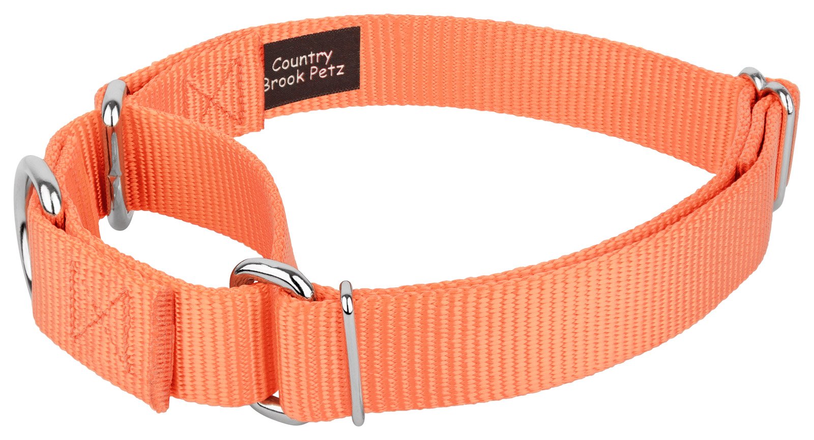 Country Brook Design - Mango Martingale Heavy Duty Nylon Dog Collar - 21 Vibrant Color Options (1 Inch Width, Large)
