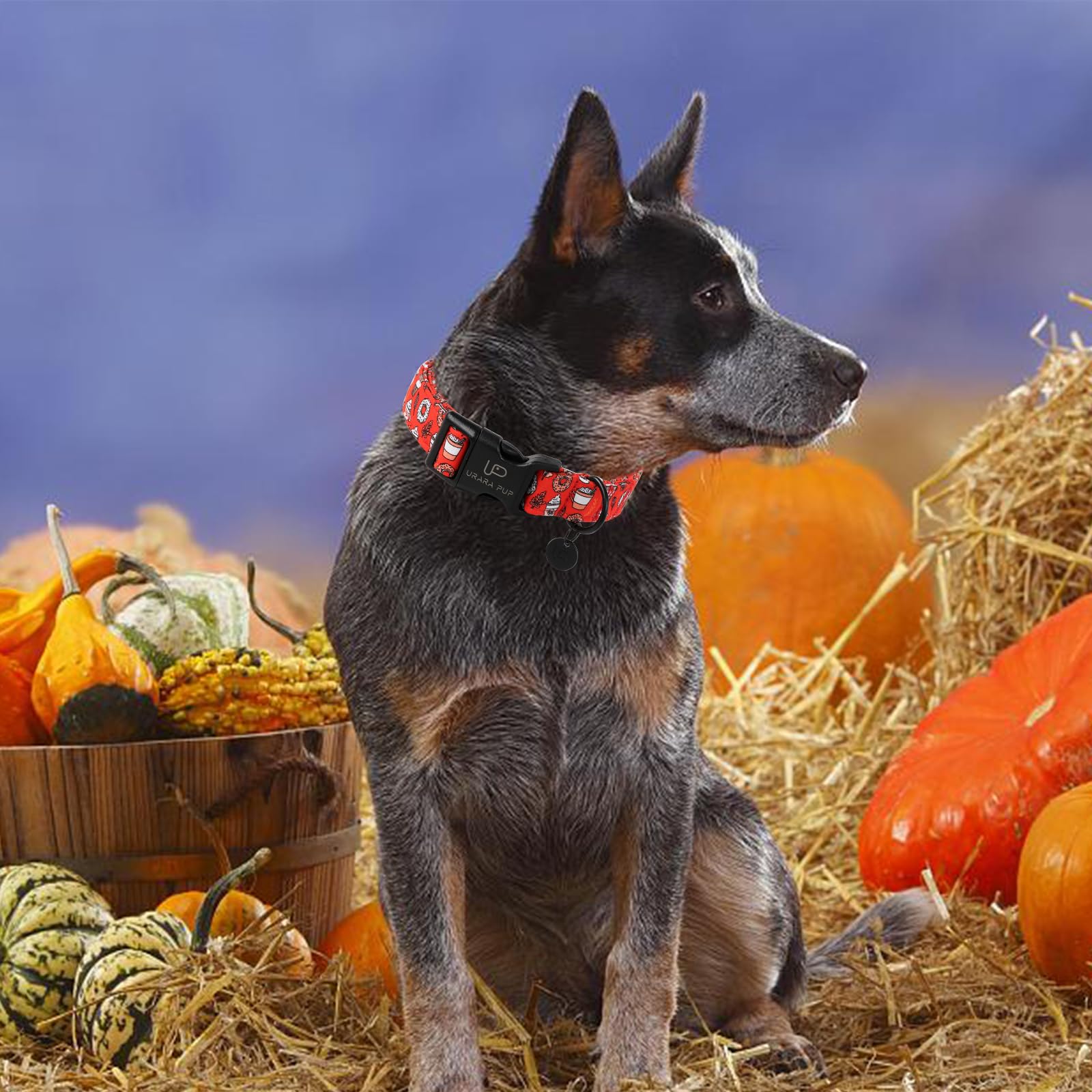 Up Urara Pup Fall Cotton Dog Collar With Plastic Buckle, Cute Doughnut Autumn Puppy Collar, Adjustable&Lightweight Pet Collar Fo