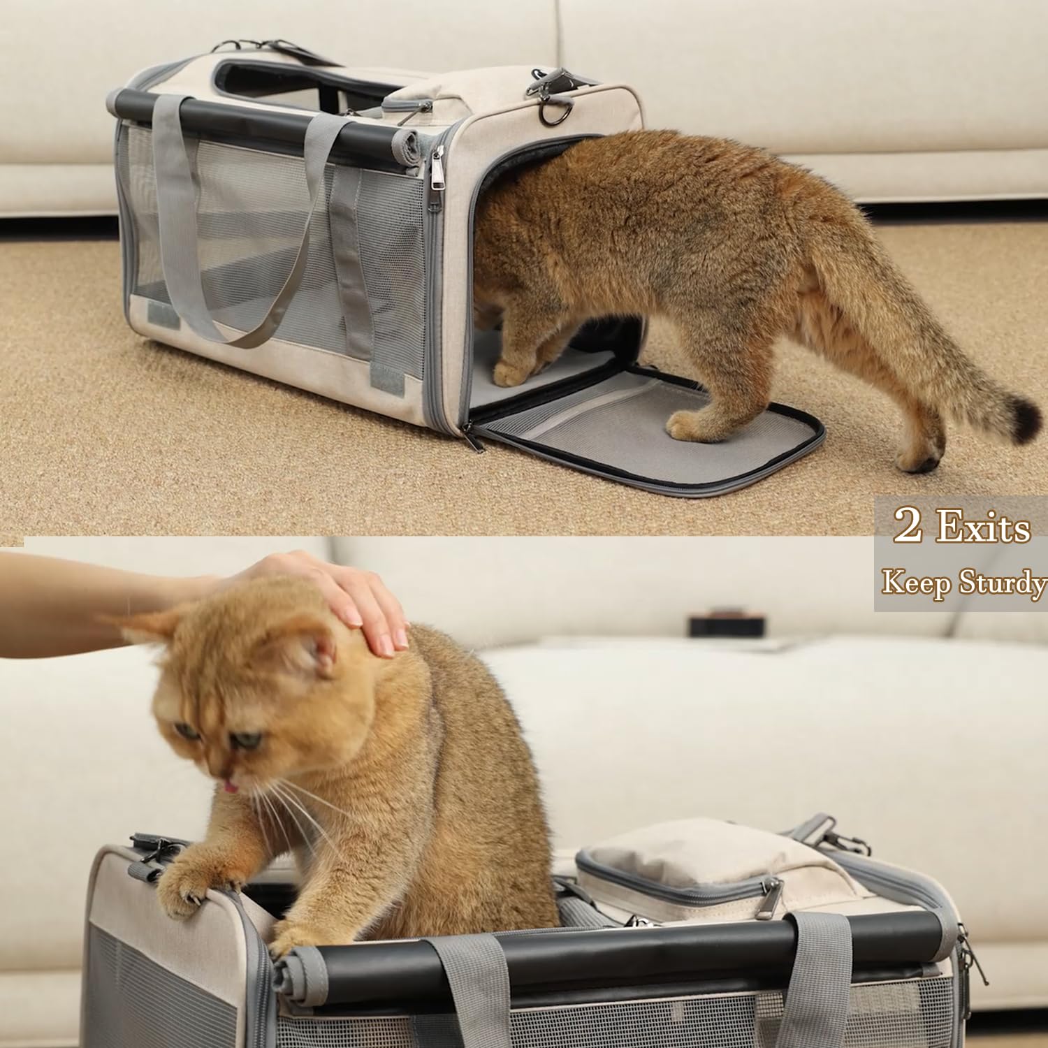 Patazone Small Dog Carrier Pet Bag For Small Dogs Cats Carriers Softsided,Large Pocket,Breathable,Light Weight,Sunshine Protecti