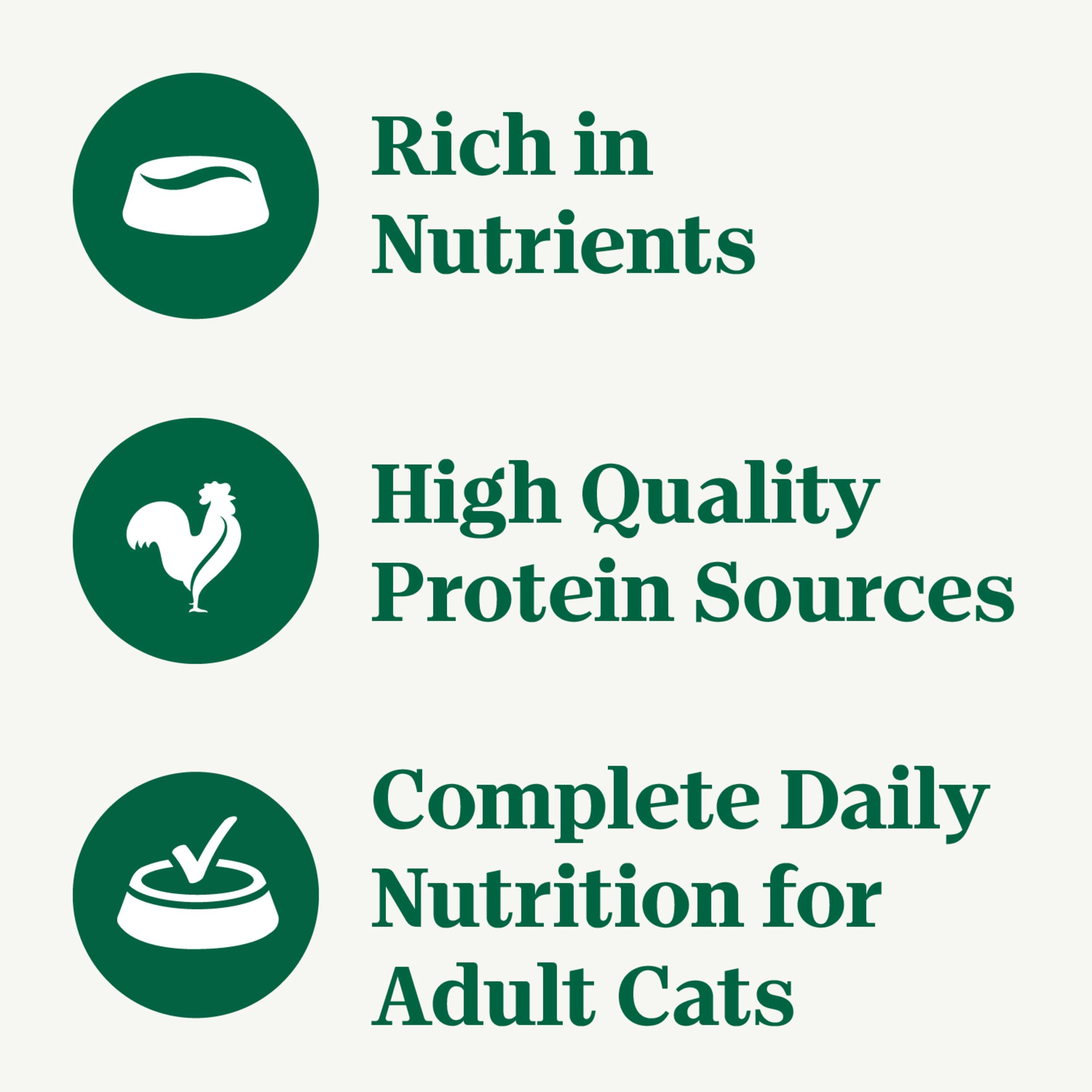 NUTRO Grain Free Natural Wet Cat Food Cuts in Gravy Turkey Recipe and Chicken Recipe Variety Pack, 2.64 oz. PERFECT PORTIONS Twi