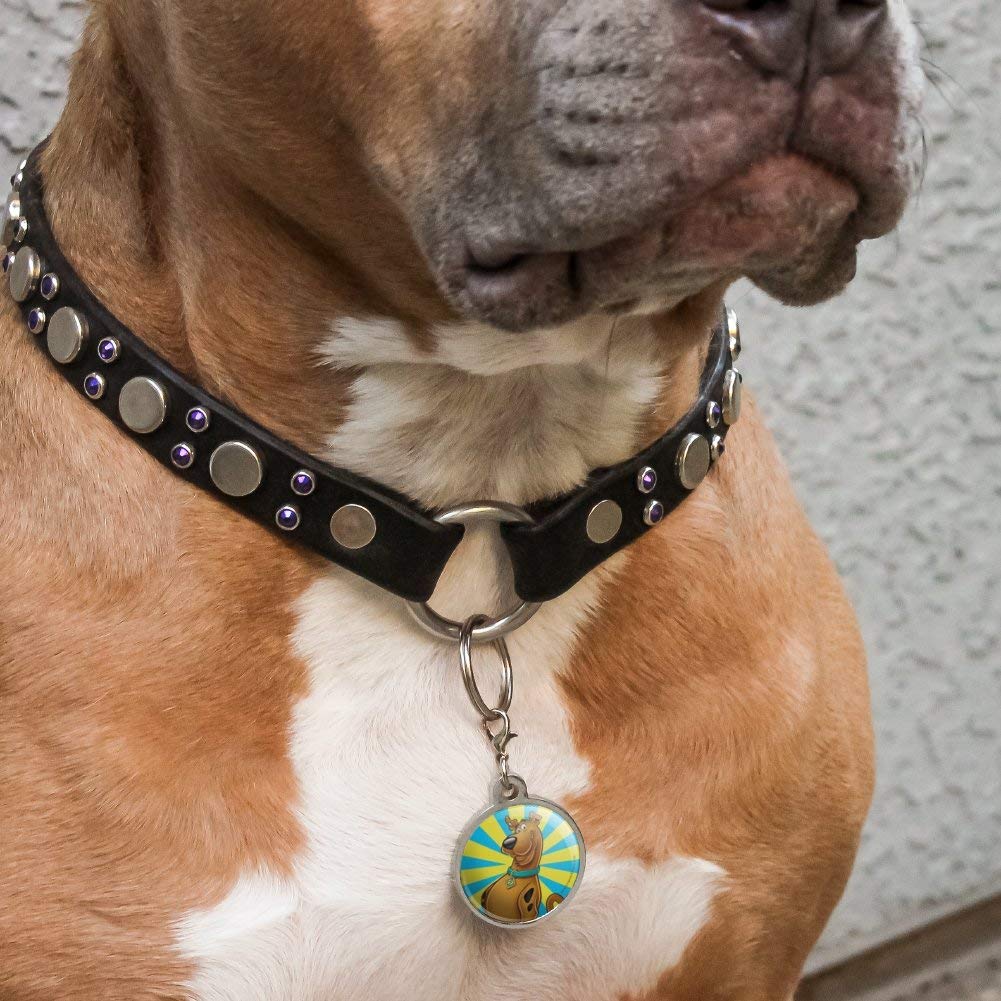Graphics & More Scooby-Doo Character Chrome Plated Metal Pet Dog Cat Id Tag