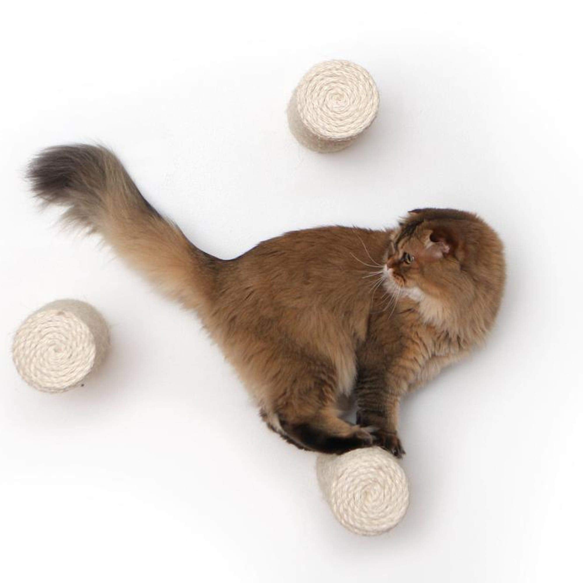 Catastrophic Creations Floating Cat Scratching Post, Hand-Crafted Sisal Cat Scratcher Post, Wall Cat Shelves & Scratching Posts For Indoor Cats, Durable & Modern Cat Furniture (1 Pc, 11” X 4”)