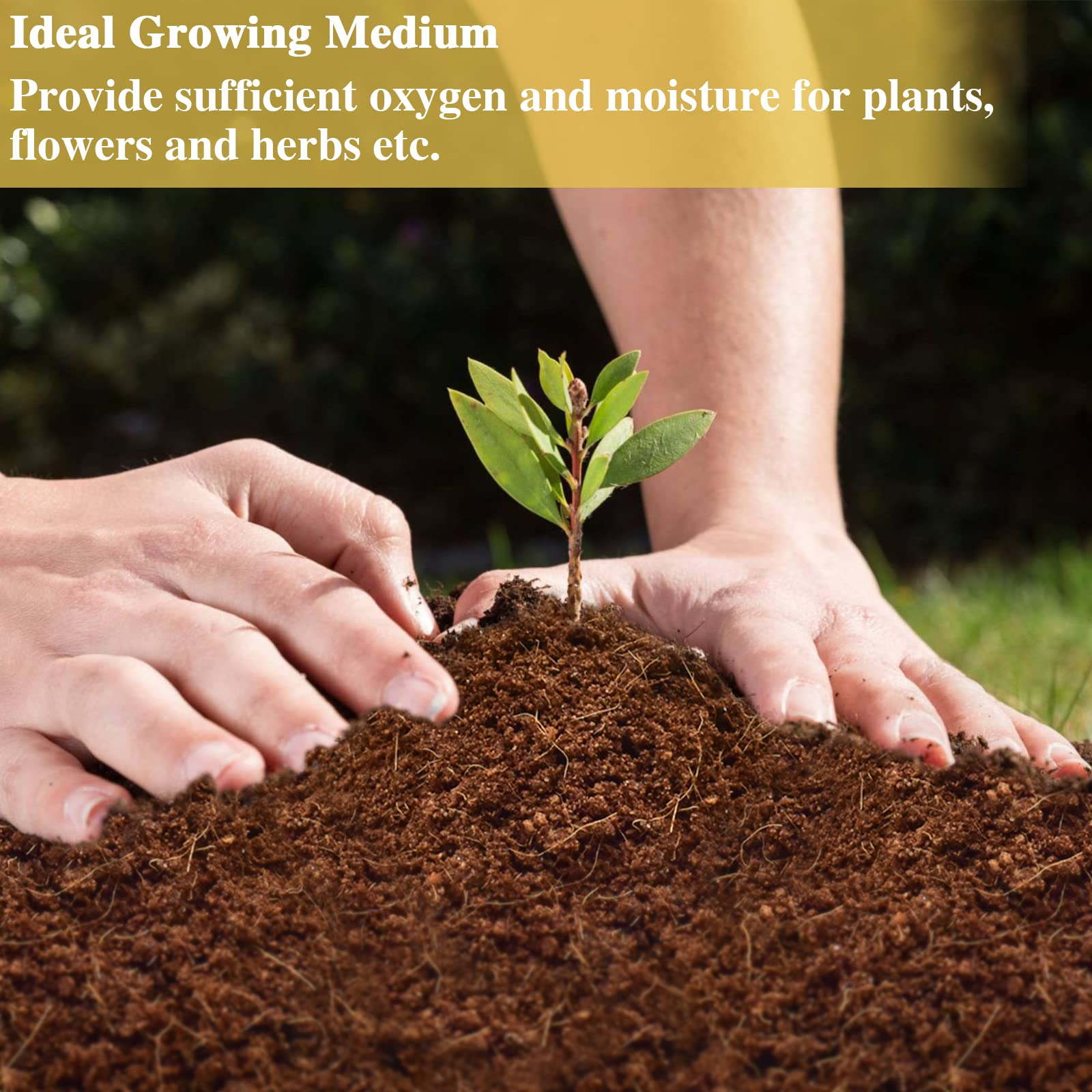 Zeedix 2Pcs Compressed Coconut Fiber Substrate, 100% Organic Coco Coir Fiber Brick Substrate Fluffy Bearded Dragon Tortoise Snake Terrarium Substrate Loose Natural Husk Terrarium Bedding For Reptiles