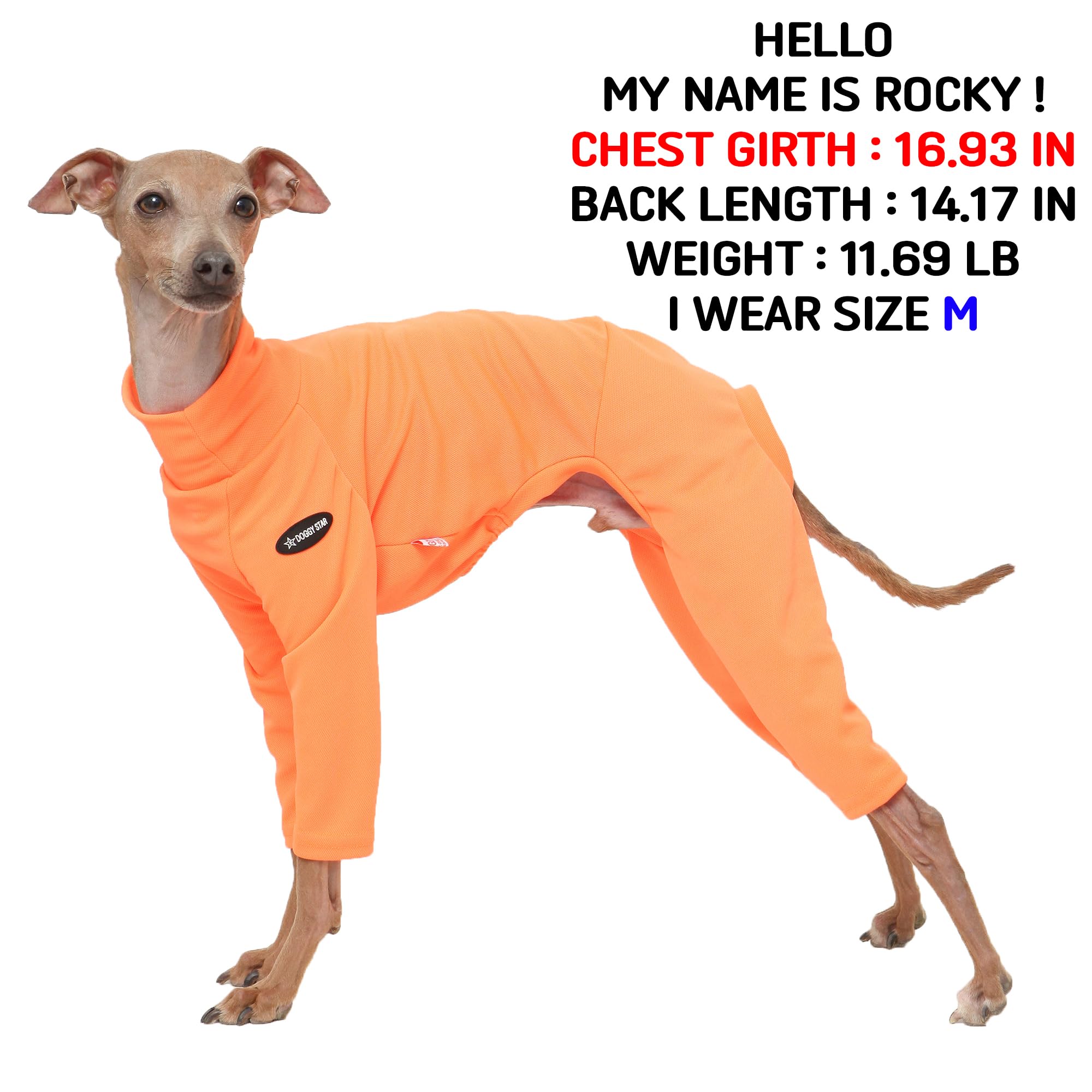D Doggy Star Italian Greyhound Clothes Strechy Neon Onsie Spring Summer (2Xl,Onsi Ne Orange)