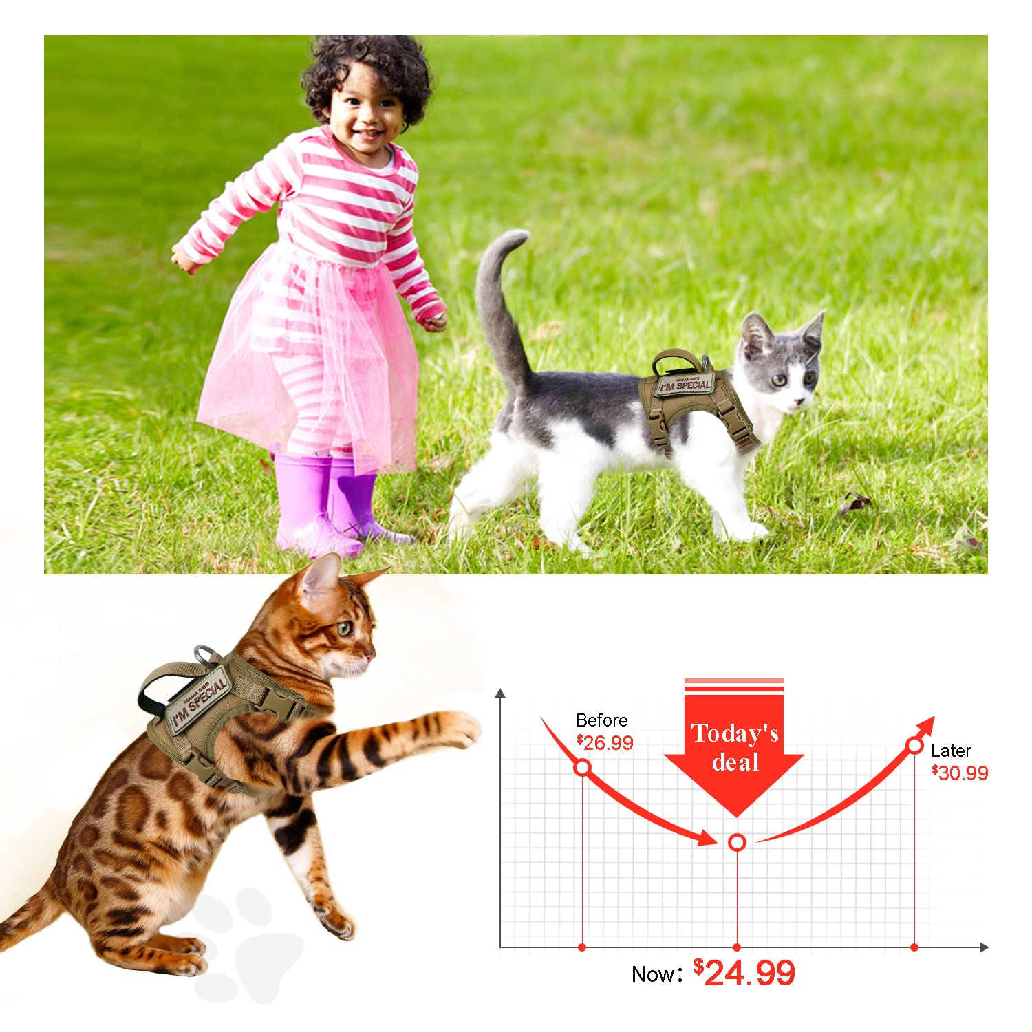 Tactical Cat Harness For Walking Escape Proof, Soft Mesh Adjustable Pet Vest Harness For Large Cat,Small Dog (Medium, Black)