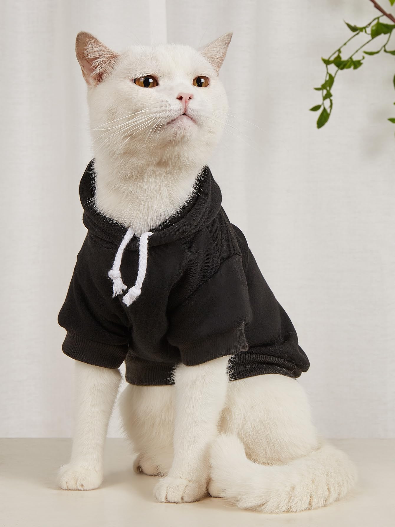 Qwinee 2Pcs Basic Dog & Cat Apparel, Warm Jacket & Shirt For Small To Medium Dogs & Cats, Multicolored