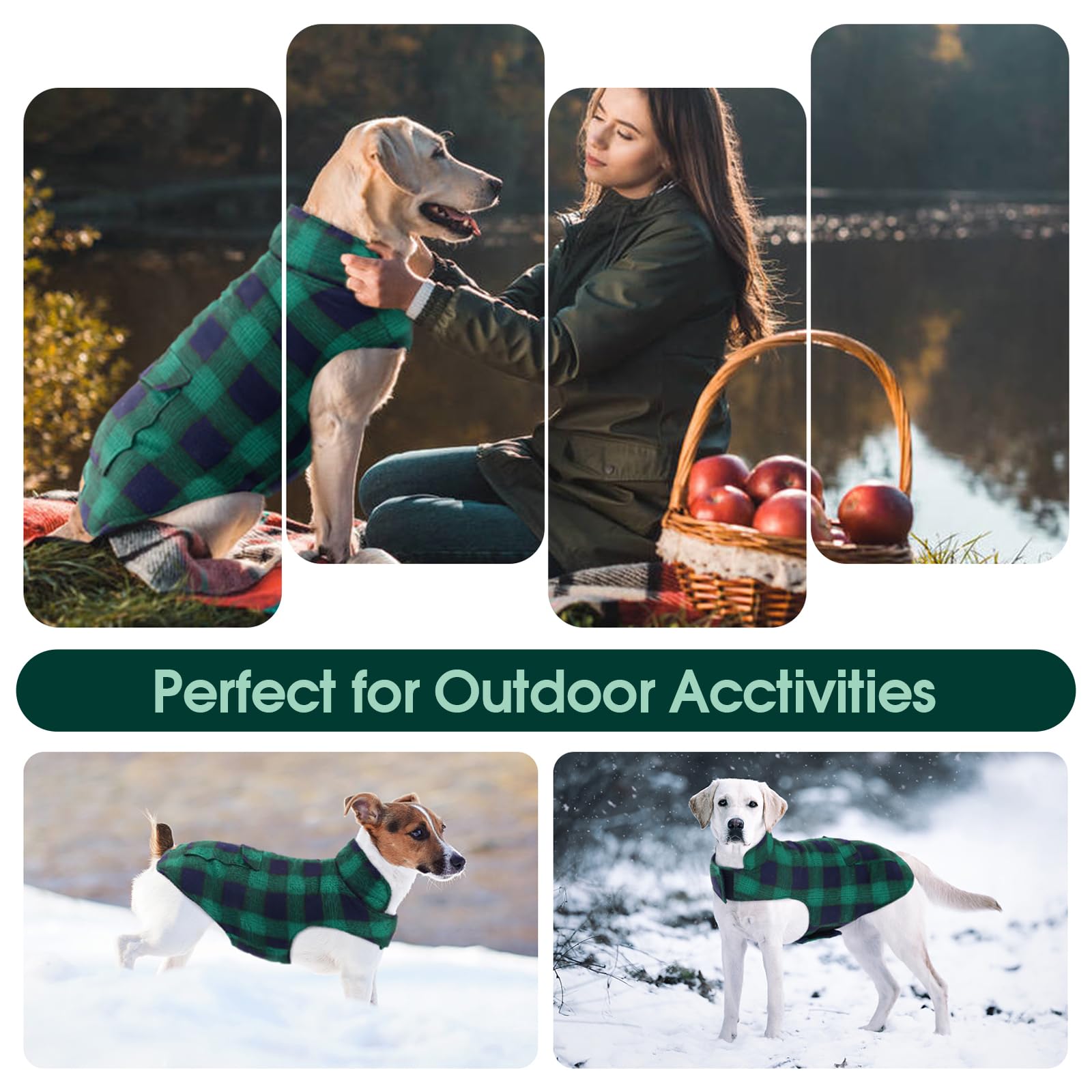 Kuoser Reversible Dog Jacket, Warm Winter Coat, Windproof Dog Clothes, Puppy Cold Weather Coat, Green S, M, L
