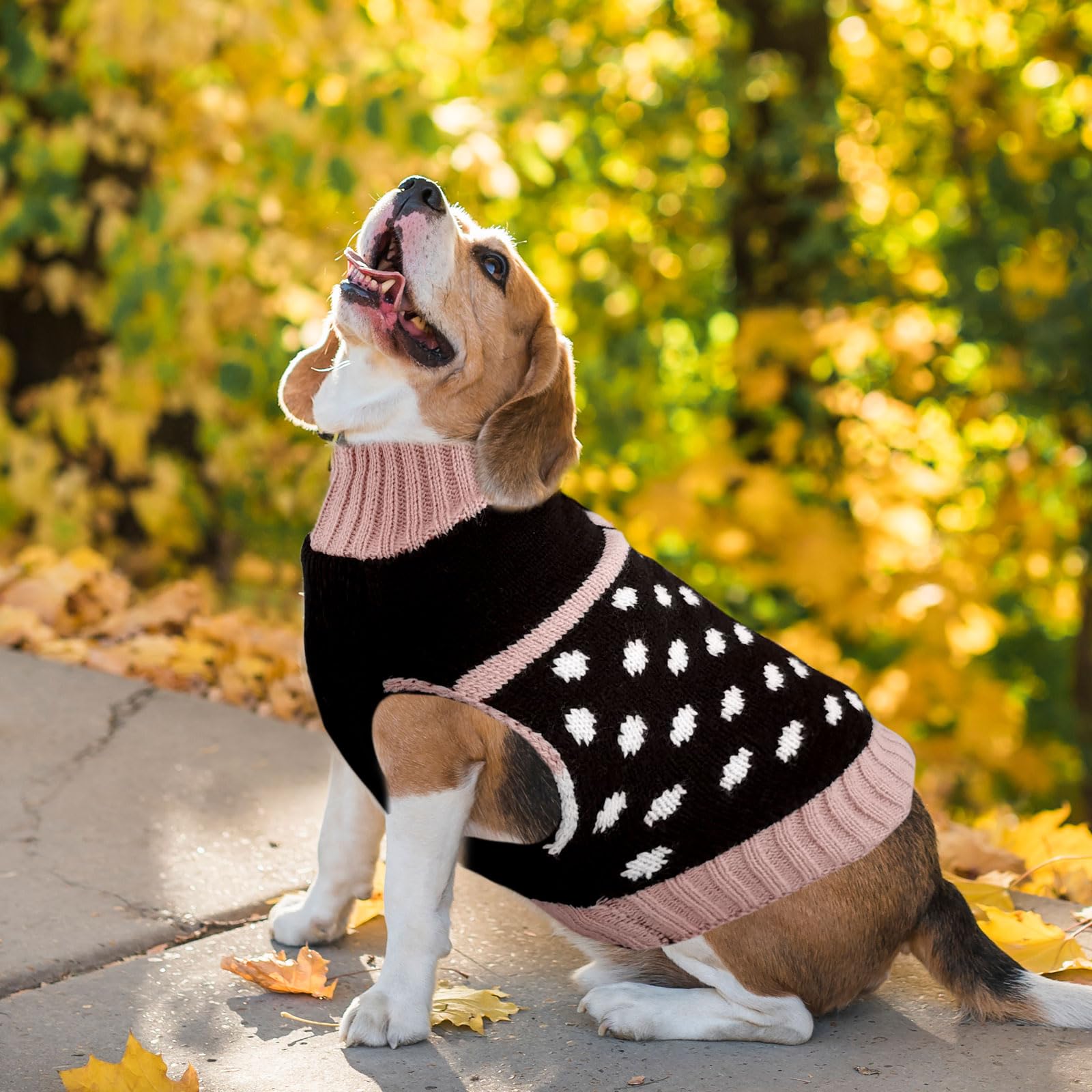 PETCARE Cute Small Dog Sweater Dot Black Dog Sweater with Purple Bowtie Puppy Dog Clothes for Small Medium Dogs Cats Girl Warm F
